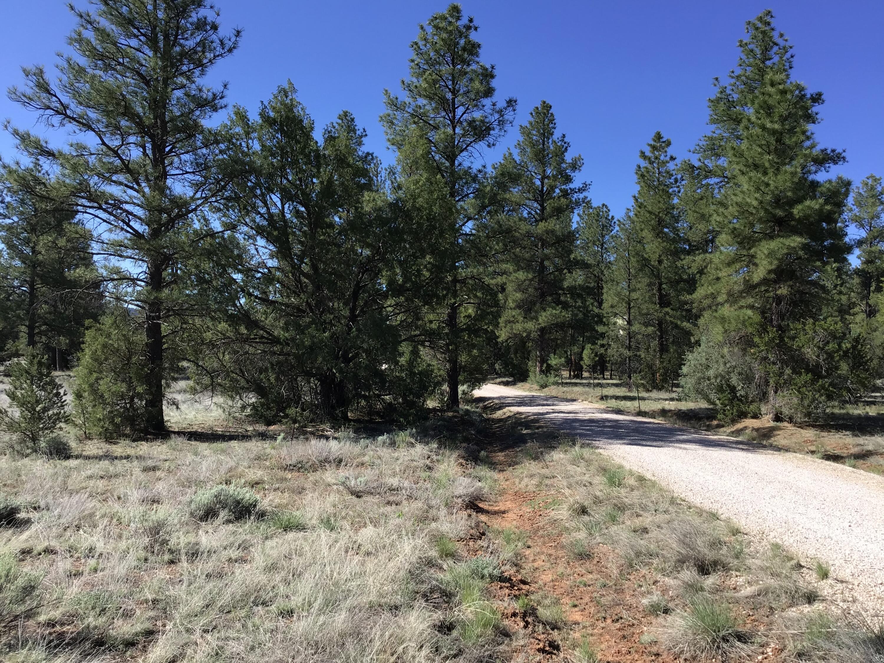 Homes for sale in Ramah, NM | Lot 23 Cottonwood Ln, Ramah, NM 87321 | MLS# 1067714
