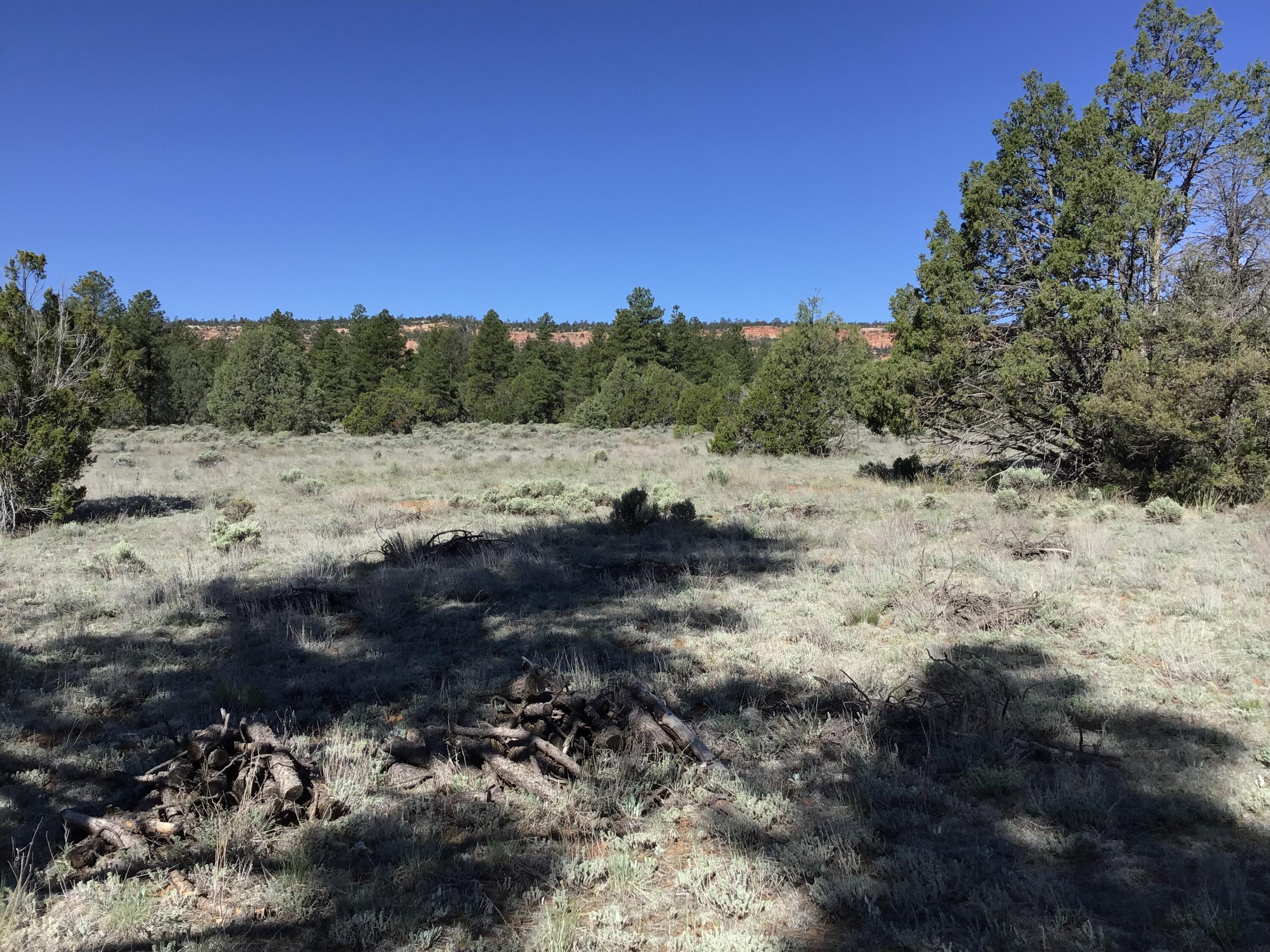 Homes for sale in Ramah, NM | Lot 23 Cottonwood Ln, Ramah, NM 87321 | MLS# 1067714