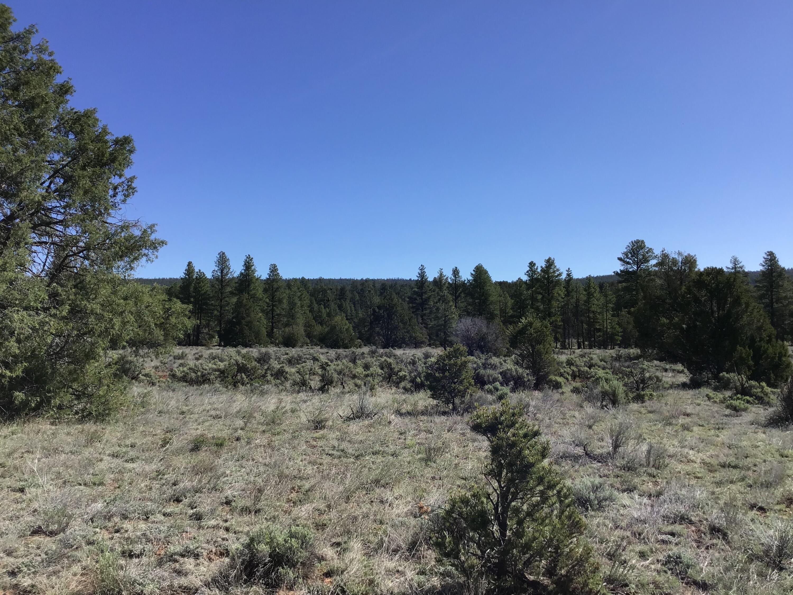Homes for sale in Ramah, NM | Lot 23 Cottonwood Ln, Ramah, NM 87321 | MLS# 1067714