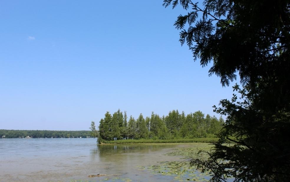 Crane Lake Property Lot 4 Forest Ln Photo 2