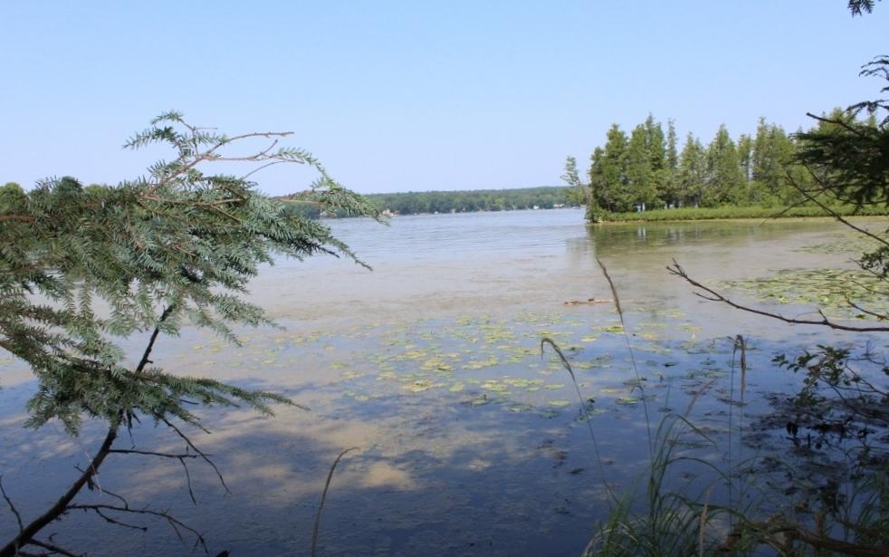 Crane Lake Property Lot 4 Forest Ln Photo 3