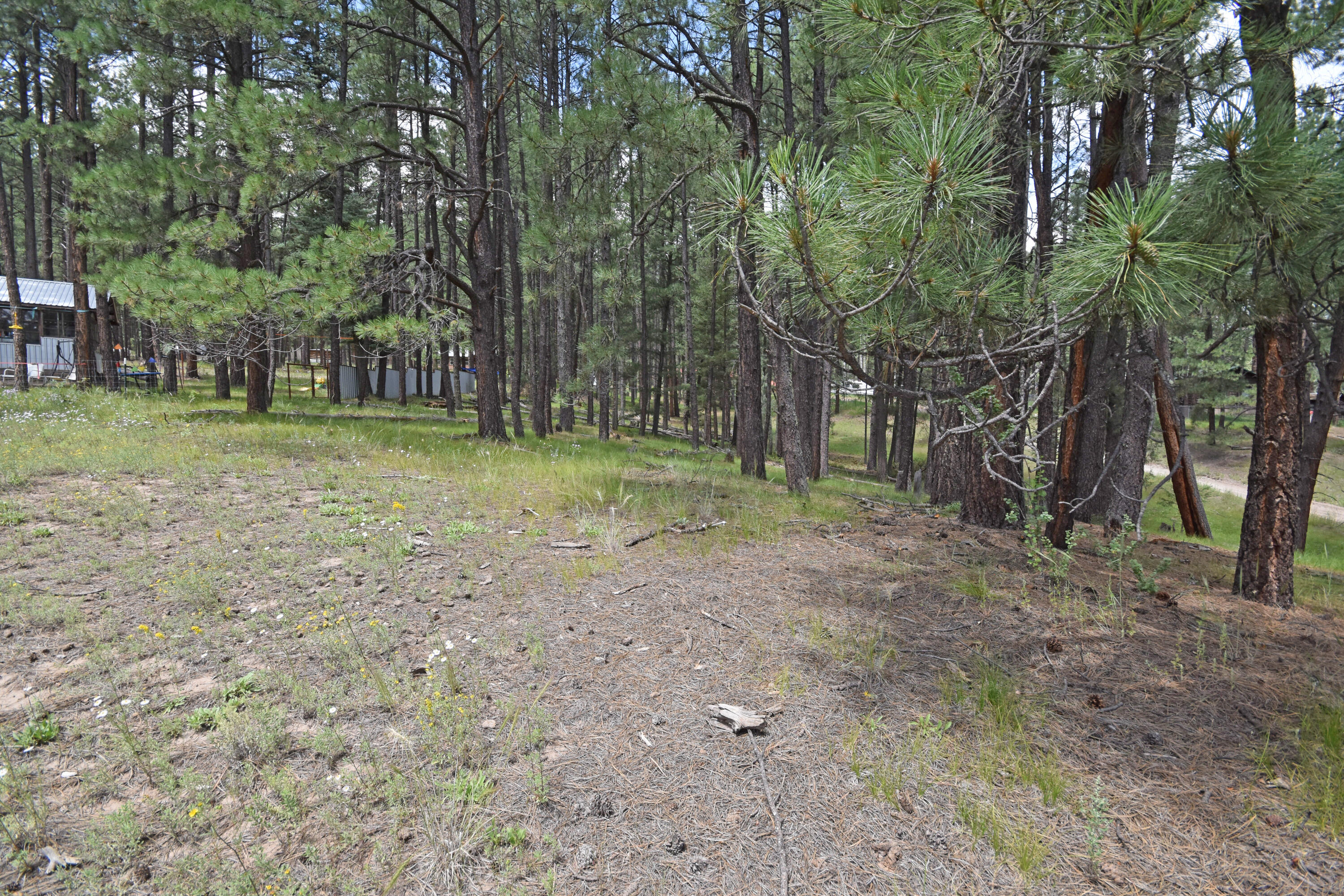 Homes for sale in Jemez Springs, NM | Lots 2 & 3 Hidden Valley Rd, Jemez Springs, NM 87025 | MLS# 1068190