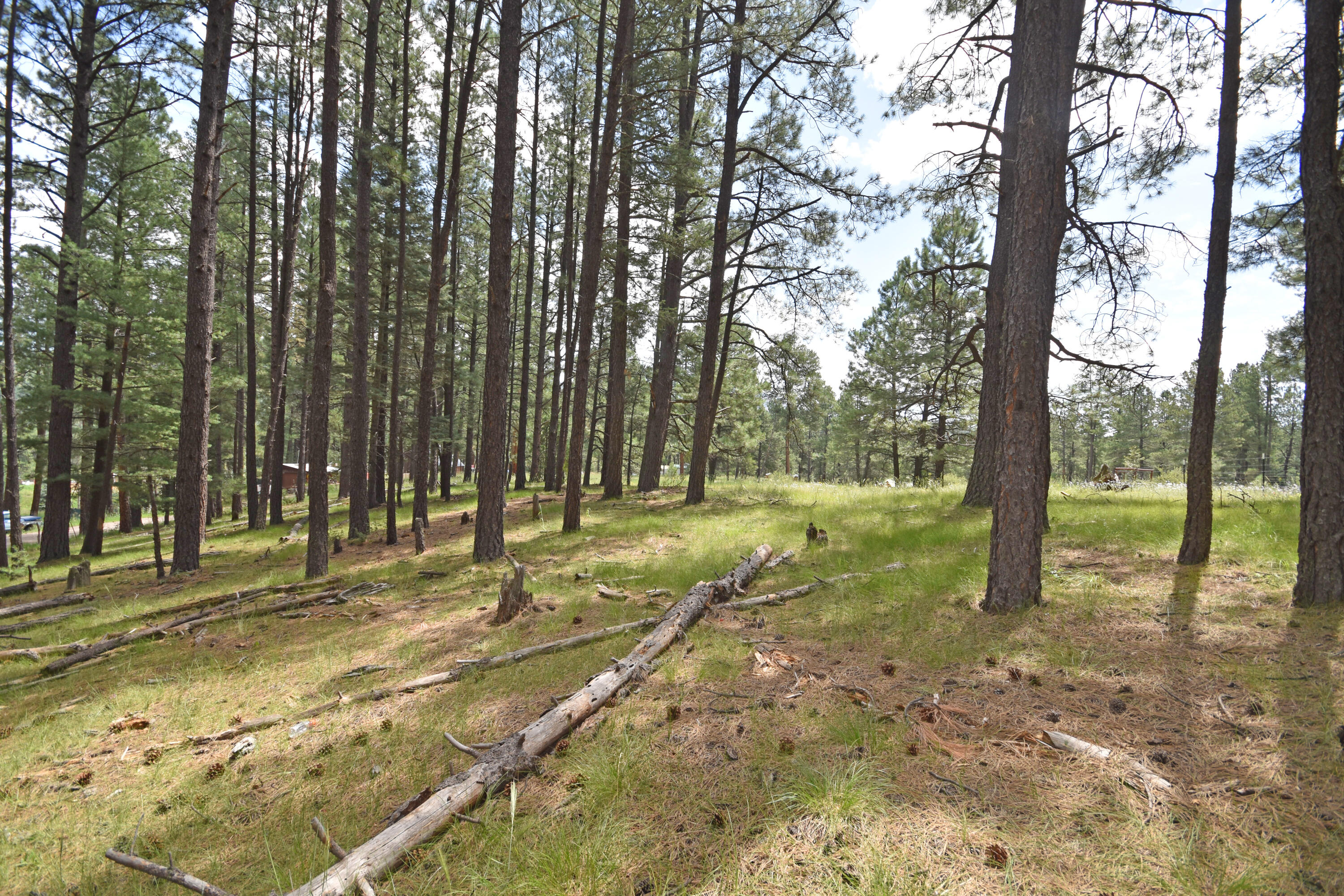 Homes for sale in Jemez Springs, NM | Lots 2 & 3 Hidden Valley Rd, Jemez Springs, NM 87025 | MLS# 1068190