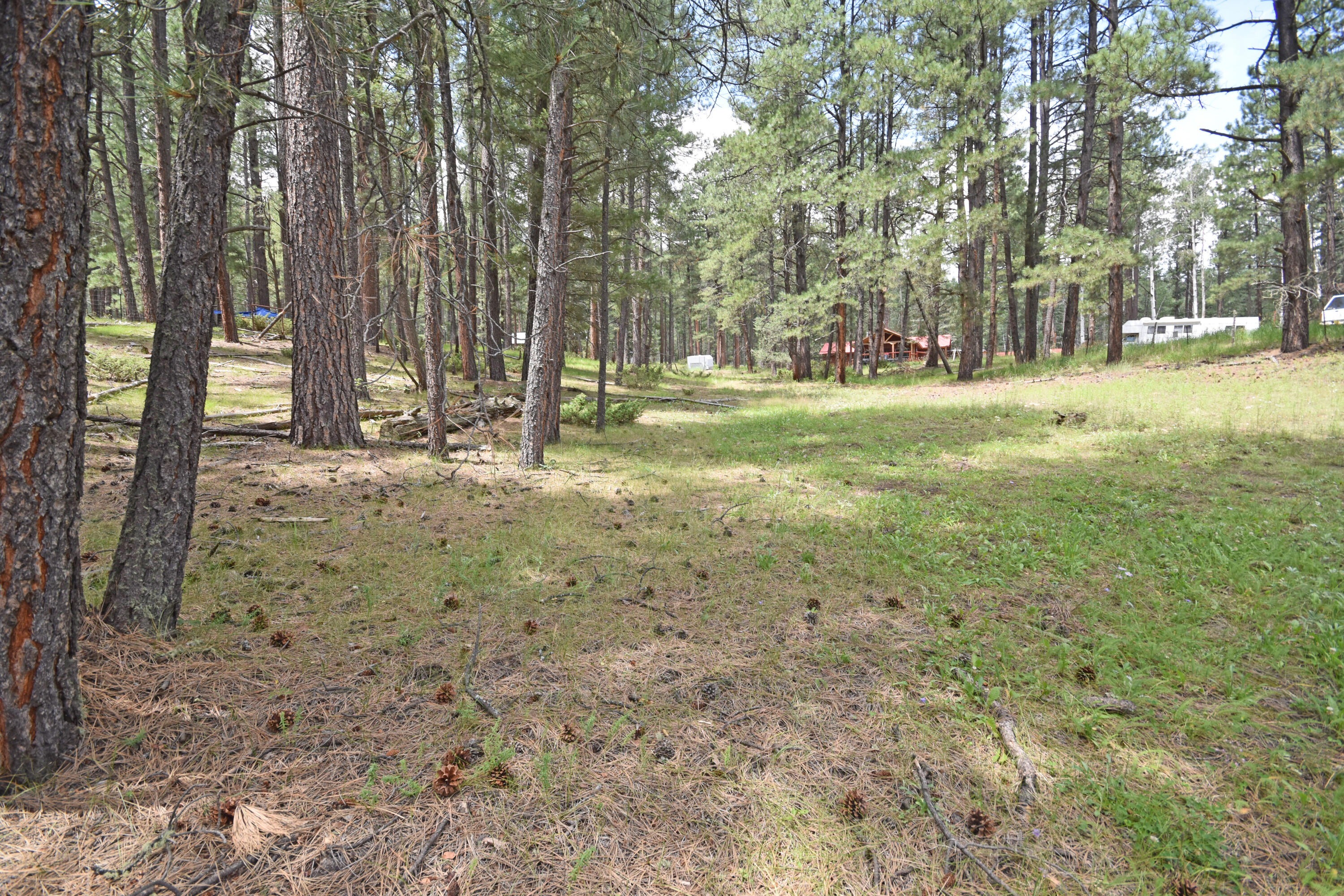 Homes for sale in Jemez Springs, NM | Lots 2 & 3 Hidden Valley Rd, Jemez Springs, NM 87025 | MLS# 1068190