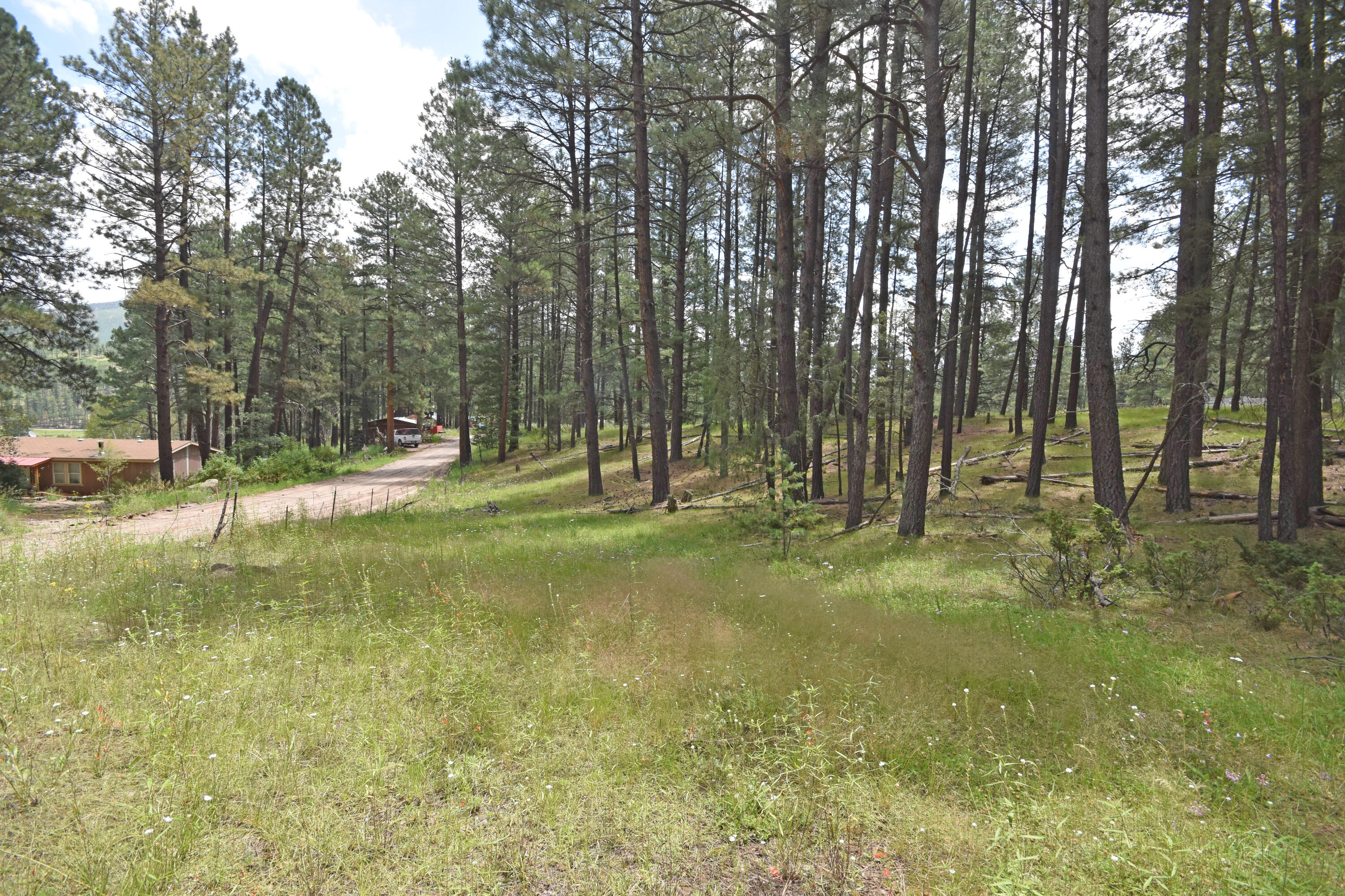 Homes for sale in Jemez Springs, NM | Lots 2 & 3 Hidden Valley Rd, Jemez Springs, NM 87025 | MLS# 1068190