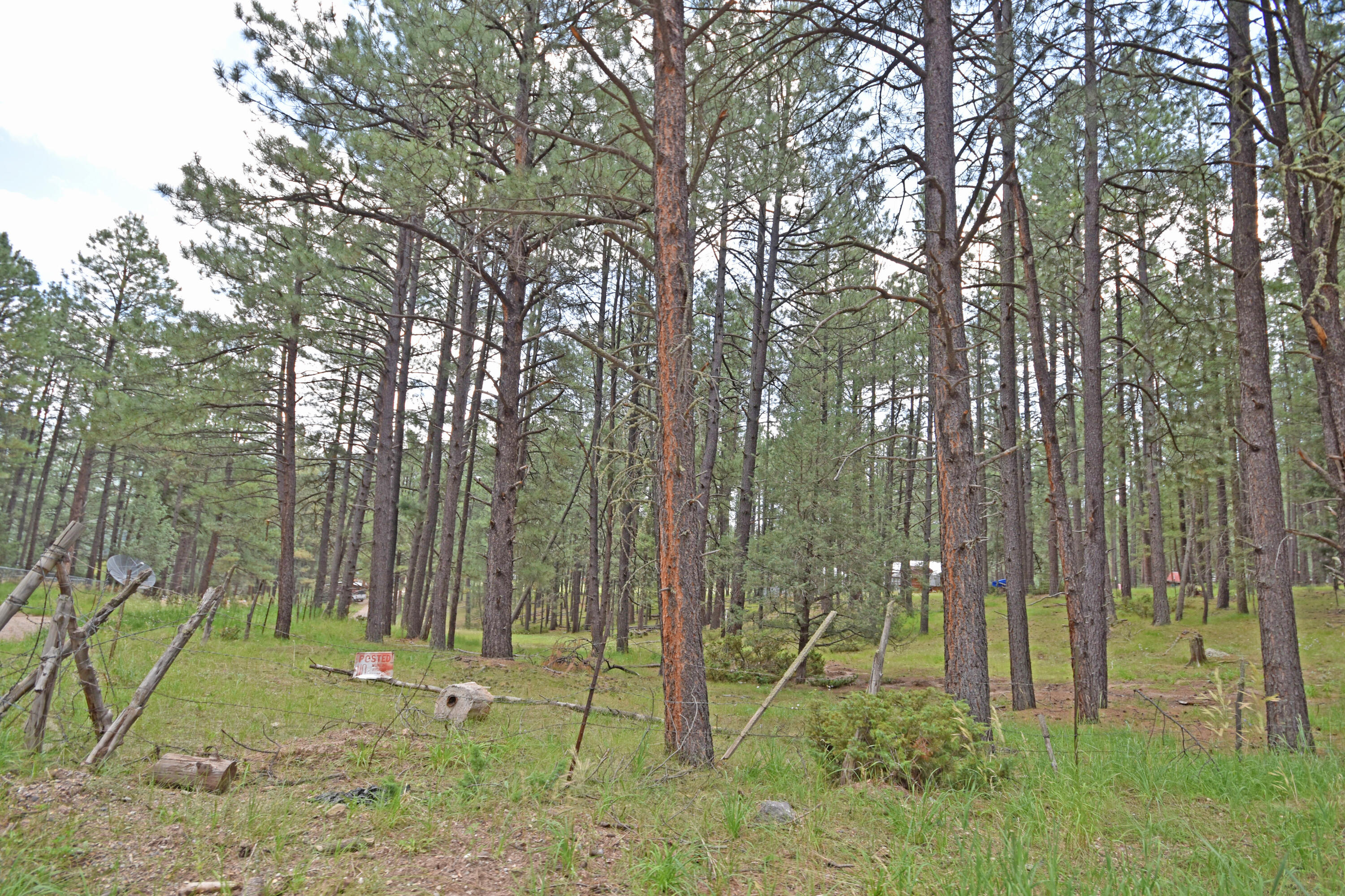 Homes for sale in Jemez Springs, NM | Lots 2 & 3 Hidden Valley Rd, Jemez Springs, NM 87025 | MLS# 1068190