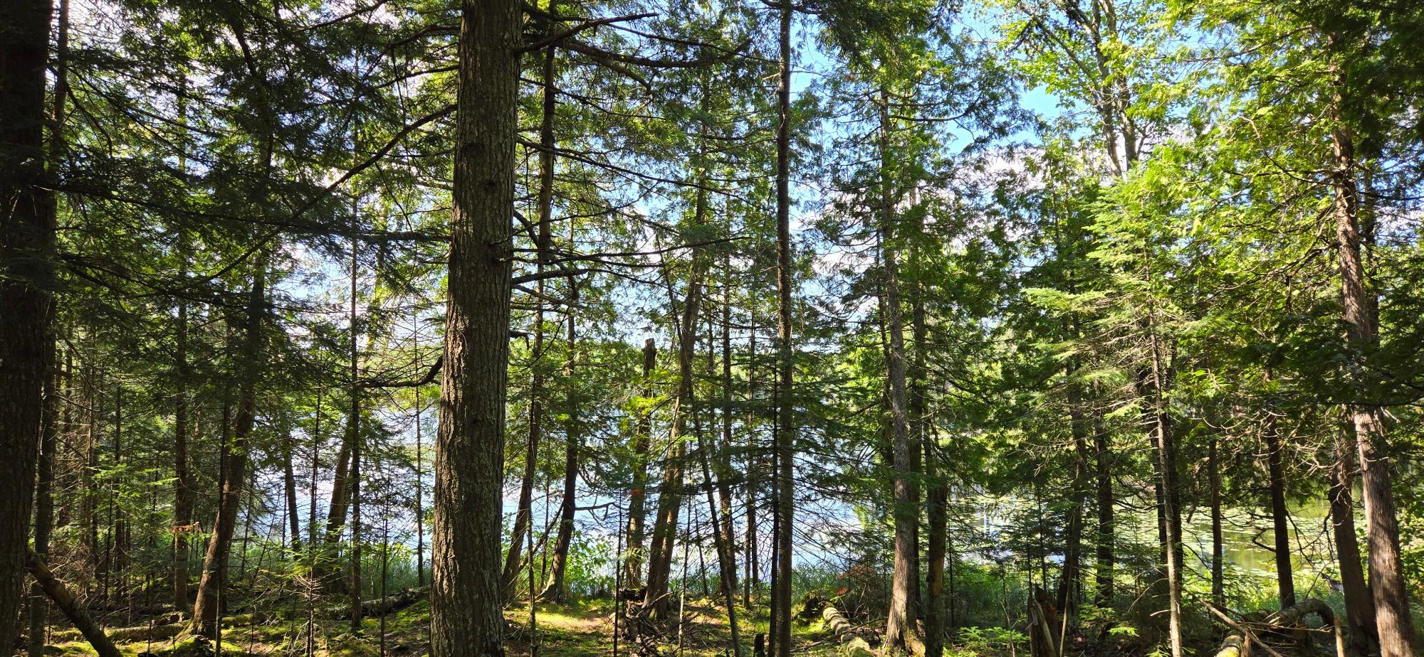 Lake Adelaide Property pcl 1&2 Adelaide Dr Photo 1