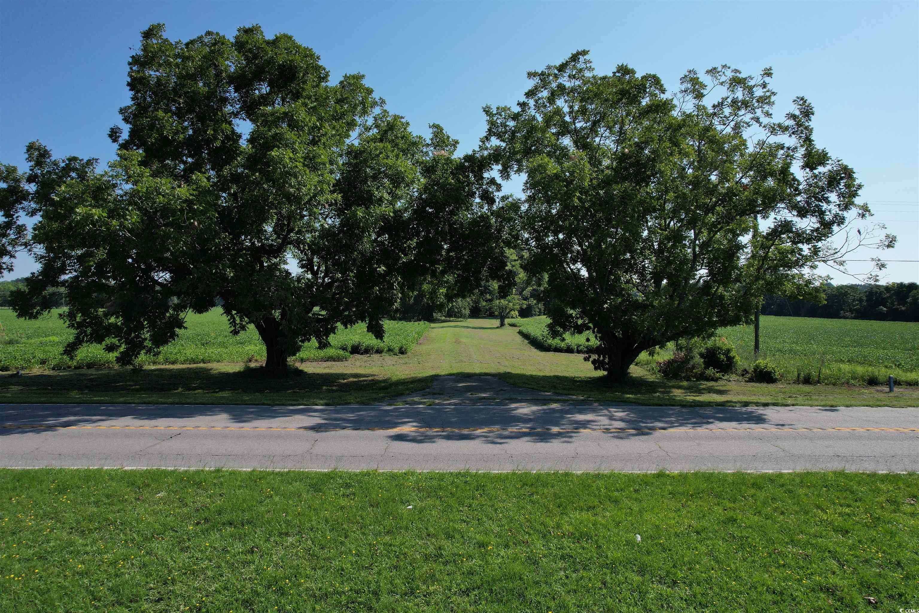 TBD Sumter Hwy. Kingstree, SC 29556