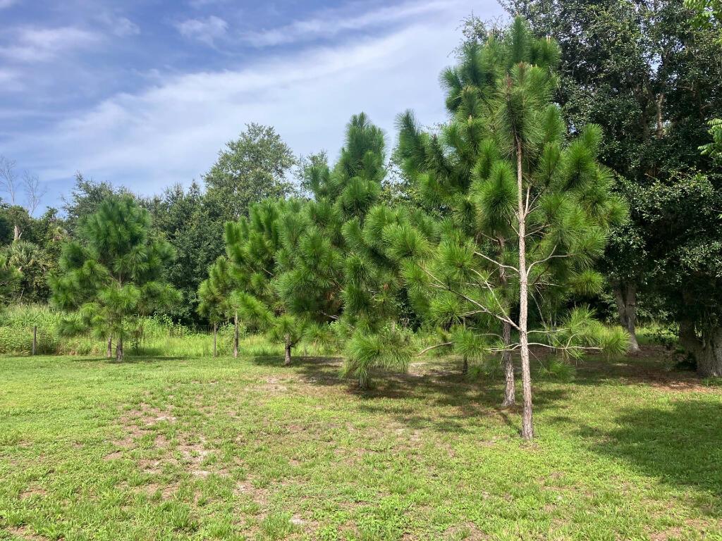 Homes for sale in Indiantown, FL | 15790 Sw Famel Avenue, Indiantown, FL 34956 | MLS# R11012975