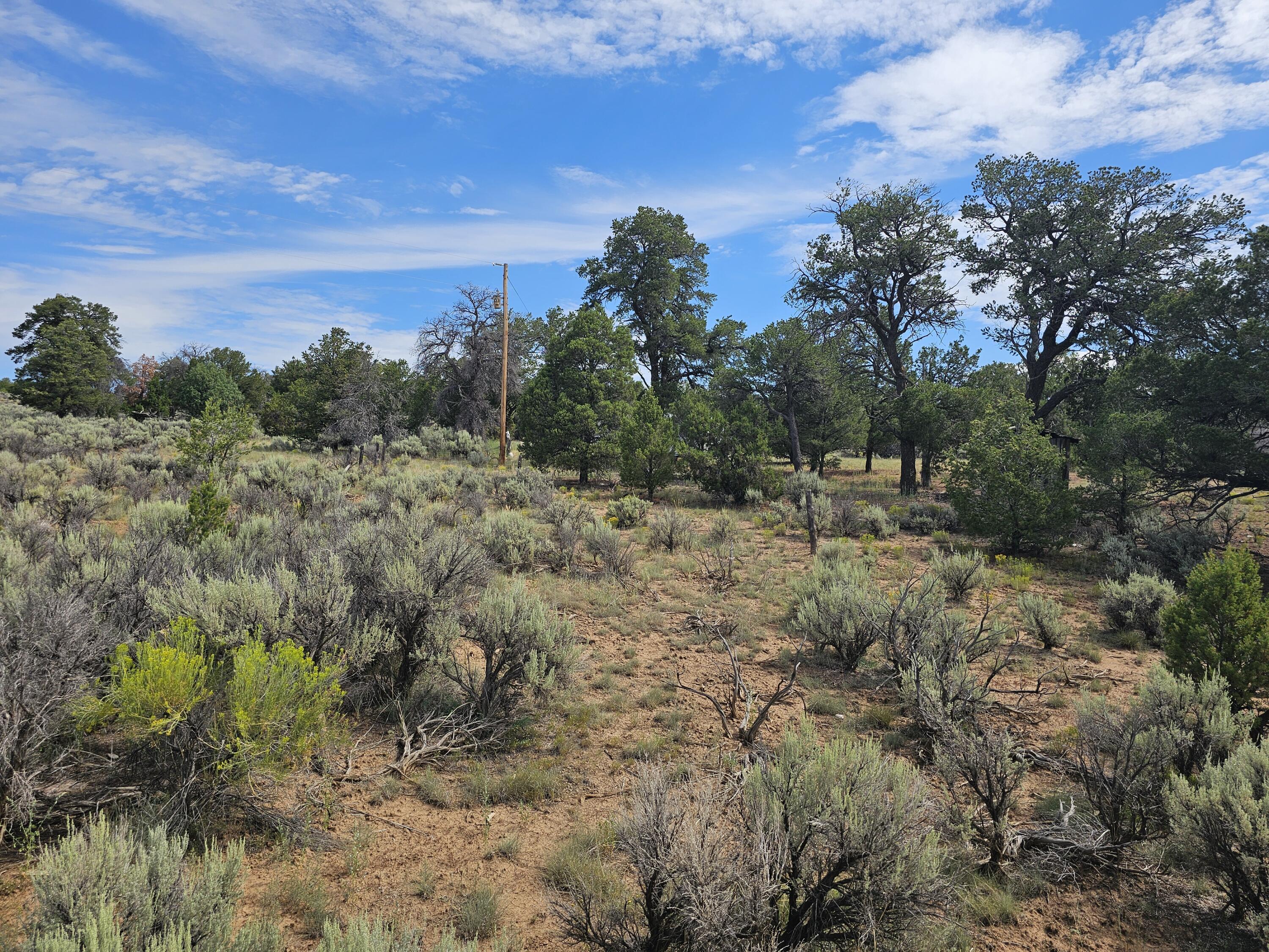 Homes for sale in Lindrith, NM | Lindrith Nm, Lindrith, NM 87029 | MLS# 1069027