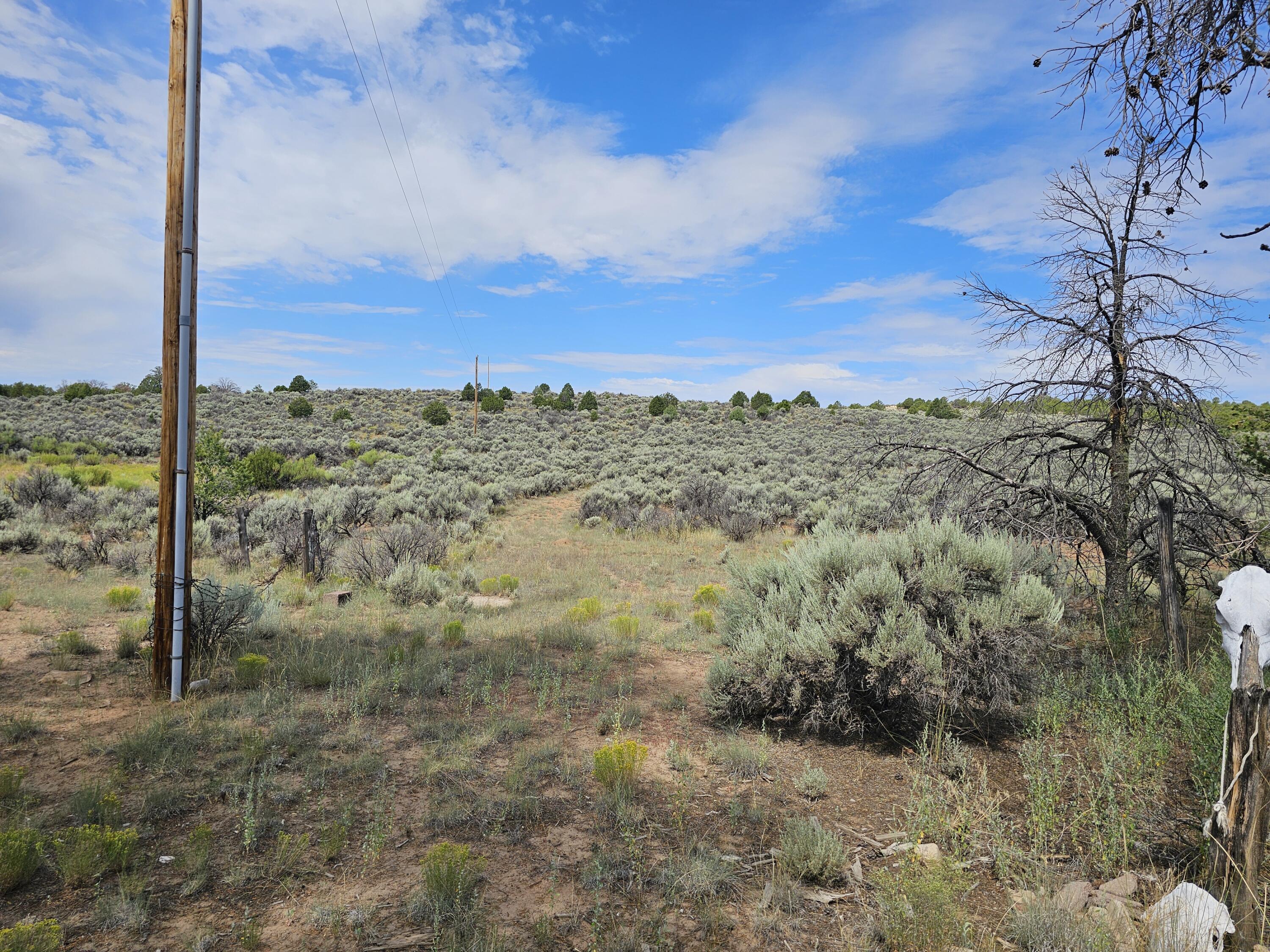 Homes for sale in Lindrith, NM | Lindrith Nm, Lindrith, NM 87029 | MLS# 1069027