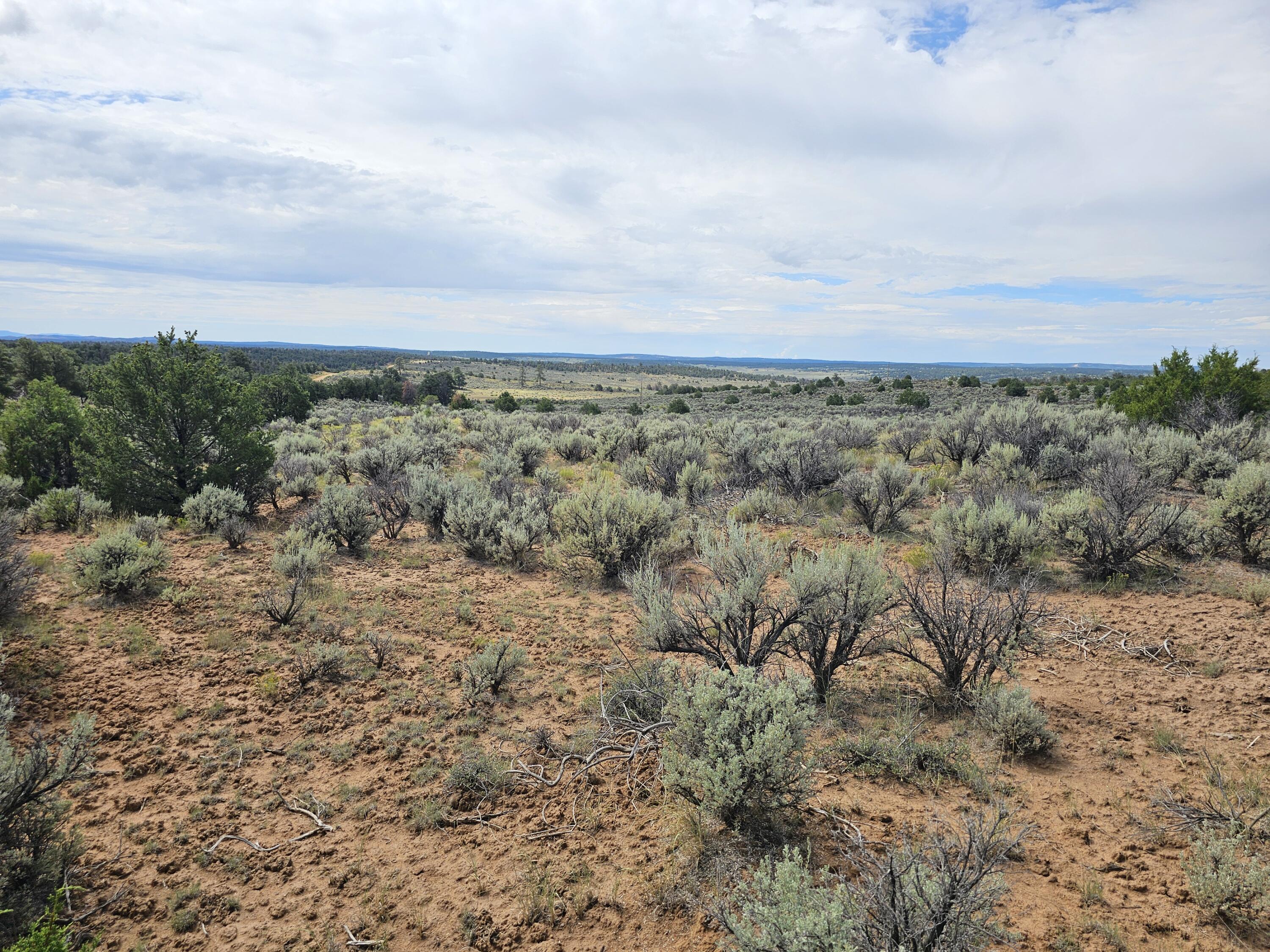 Homes for sale in Lindrith, NM | Lindrith Nm, Lindrith, NM 87029 | MLS# 1069027