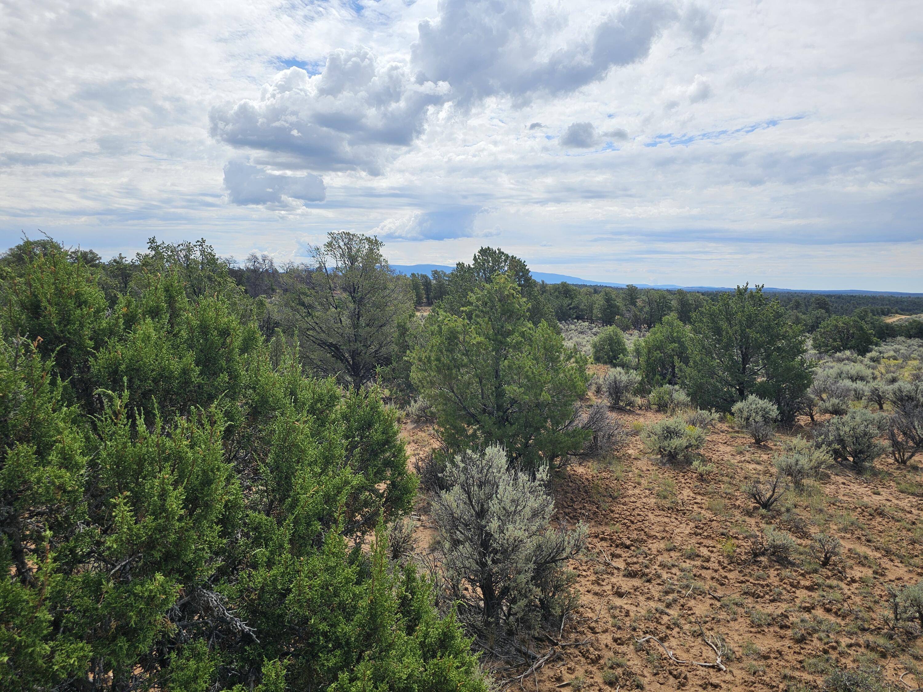 Homes for sale in Lindrith, NM | Lindrith Nm, Lindrith, NM 87029 | MLS# 1069027
