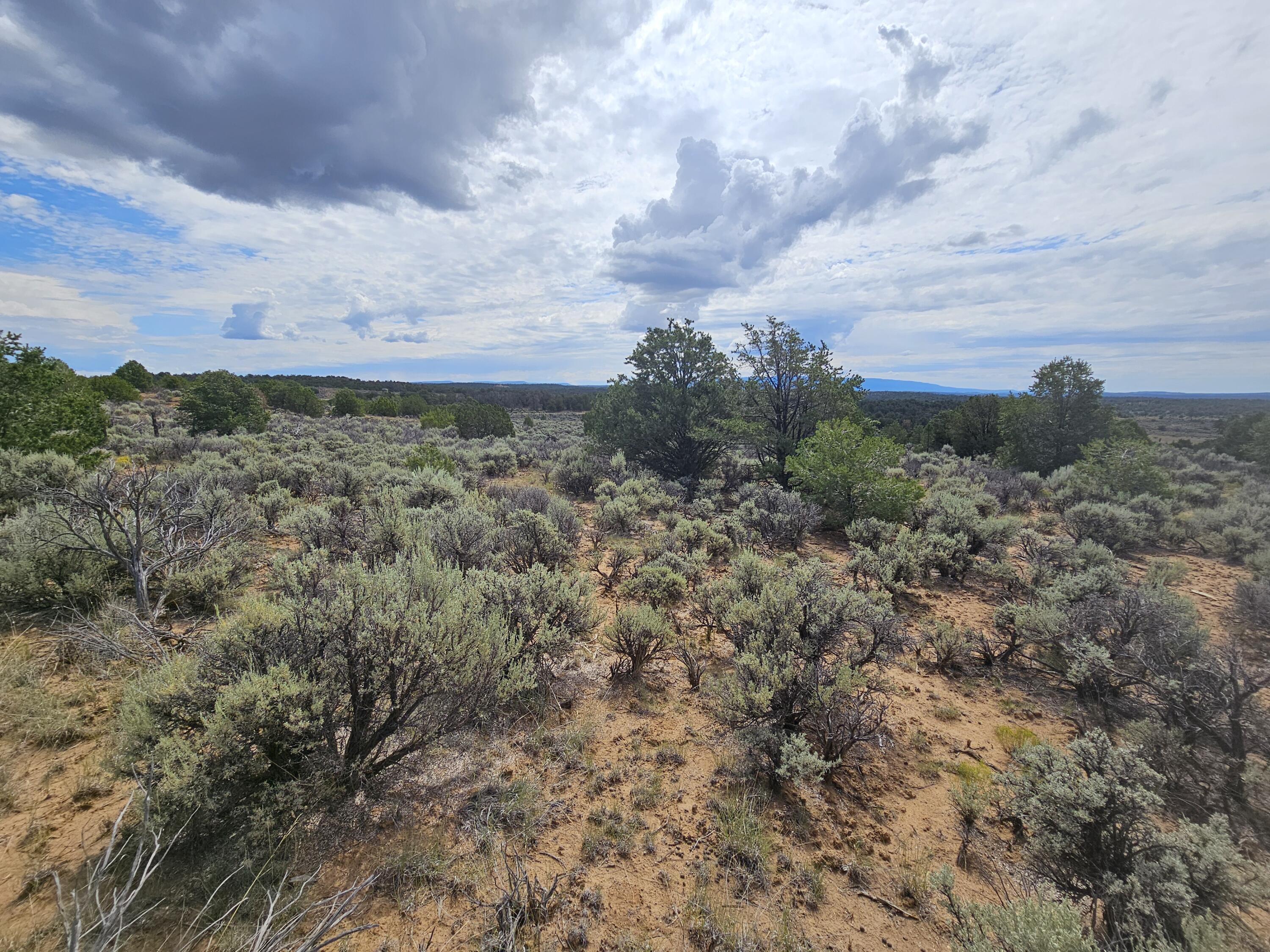 Homes for sale in Lindrith, NM | Lindrith Nm, Lindrith, NM 87029 | MLS# 1069027