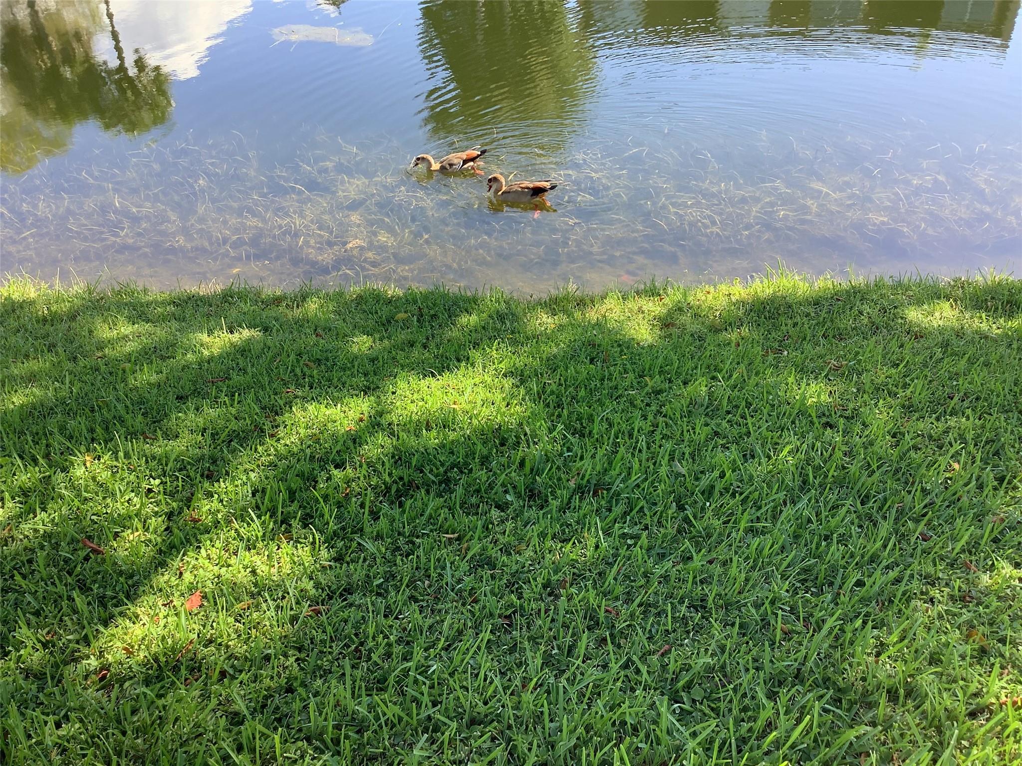 Homes for sale in Sunrise, FL | 3581 Nw 95th Ter #601, Sunrise, FL 33351 | MLS# F10457517