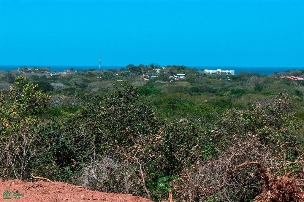 0 bed Land For Sale in Santa Cruz, Guanacaste - 1