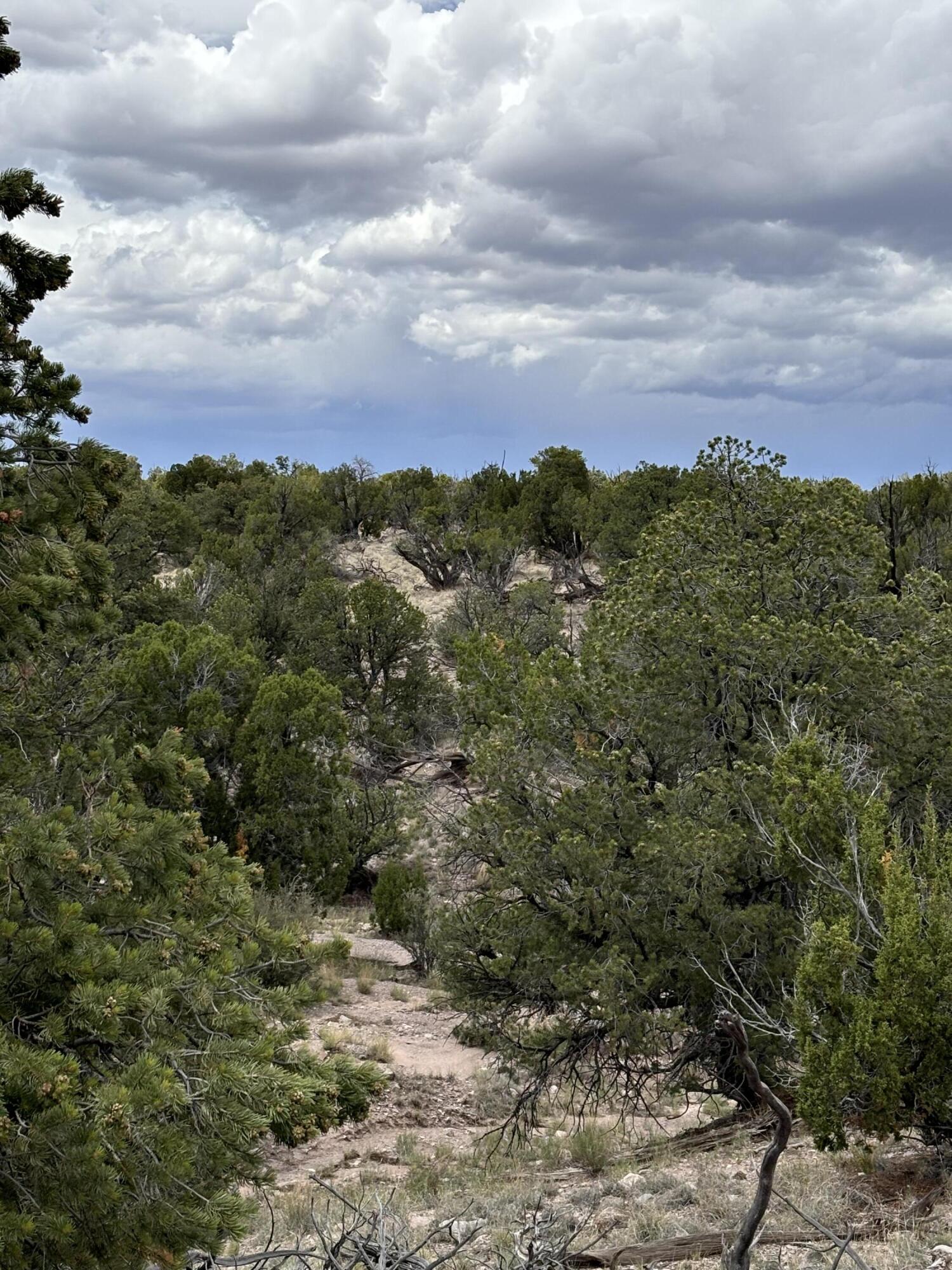 Homes for sale in Magdalena, NM | Lot 43 Abbe Spings, Magdalena, NM 87825 | MLS# 1069273