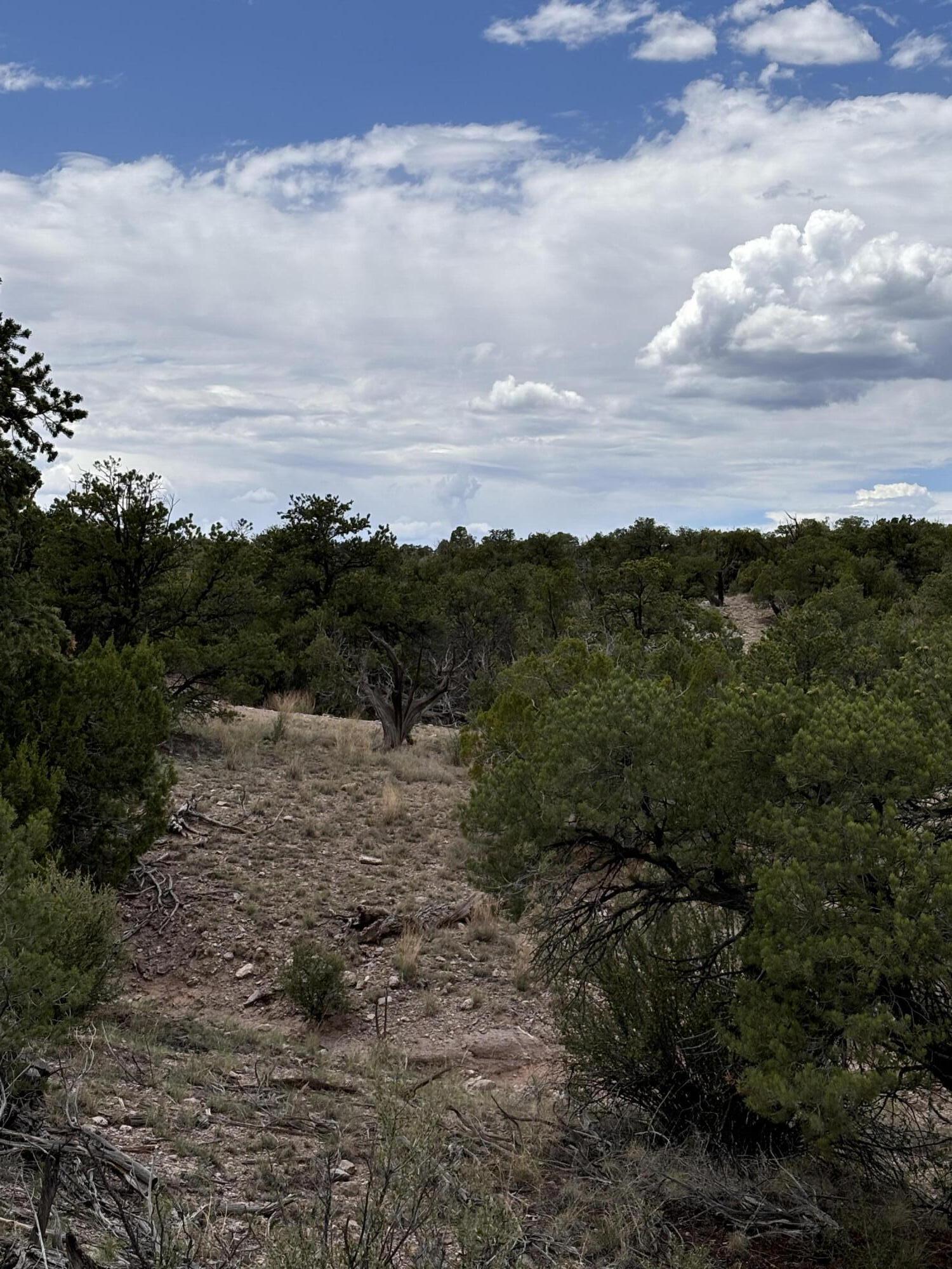 Homes for sale in Magdalena, NM | Lot 43 Abbe Spings, Magdalena, NM 87825 | MLS# 1069273