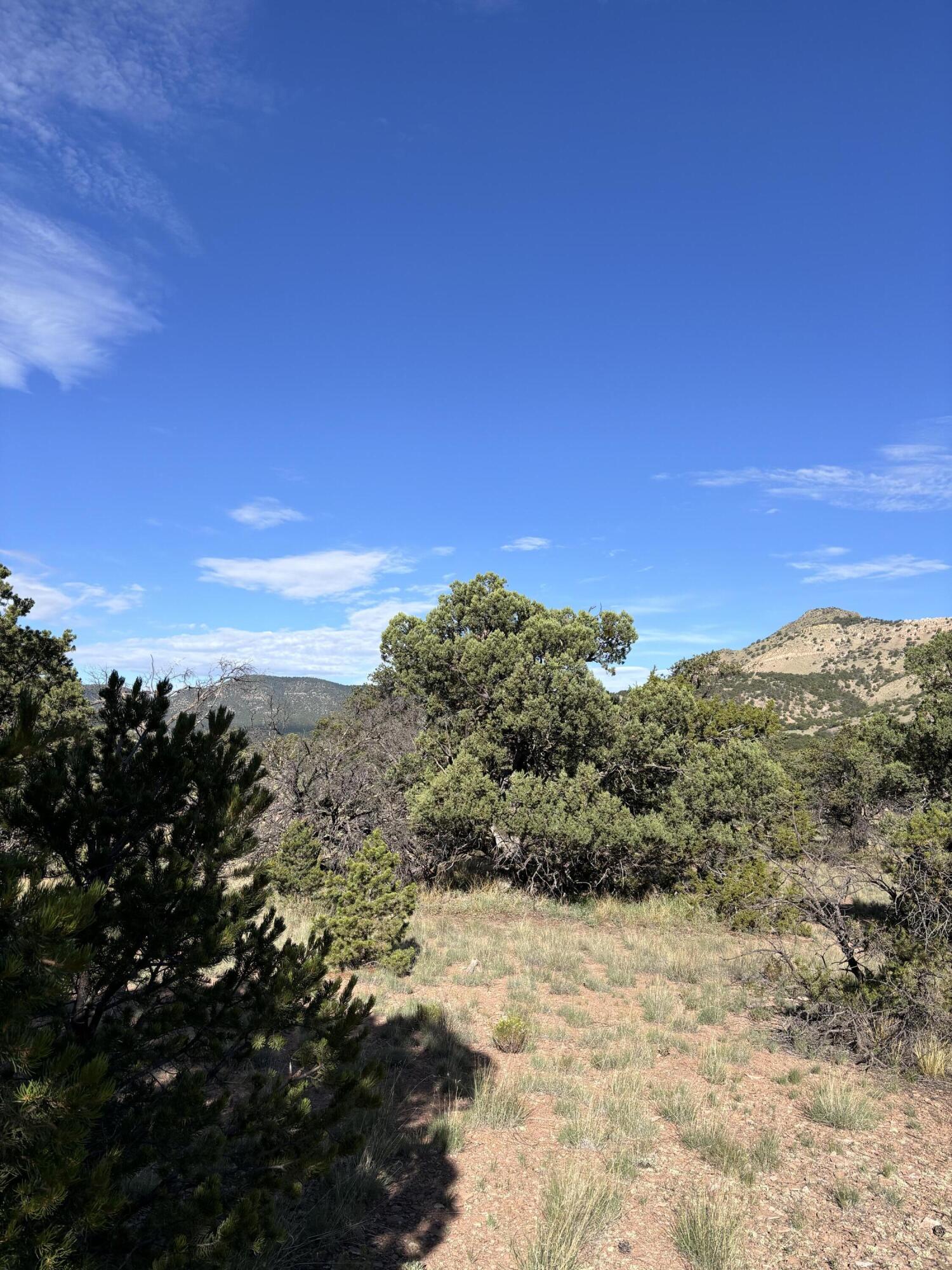 Homes for sale in Datil, NM | 34 Lookout Cir, Datil, NM 87821 | MLS# 1069472