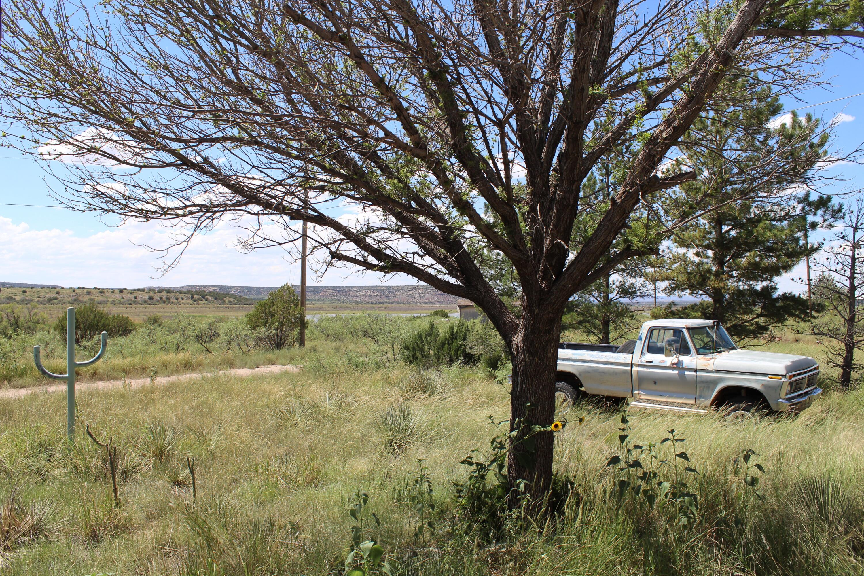 Homes for sale in Conchas Dam, NM | 429 Harbor Ct, Conchas Dam, NM 88416 | MLS# 1069485
