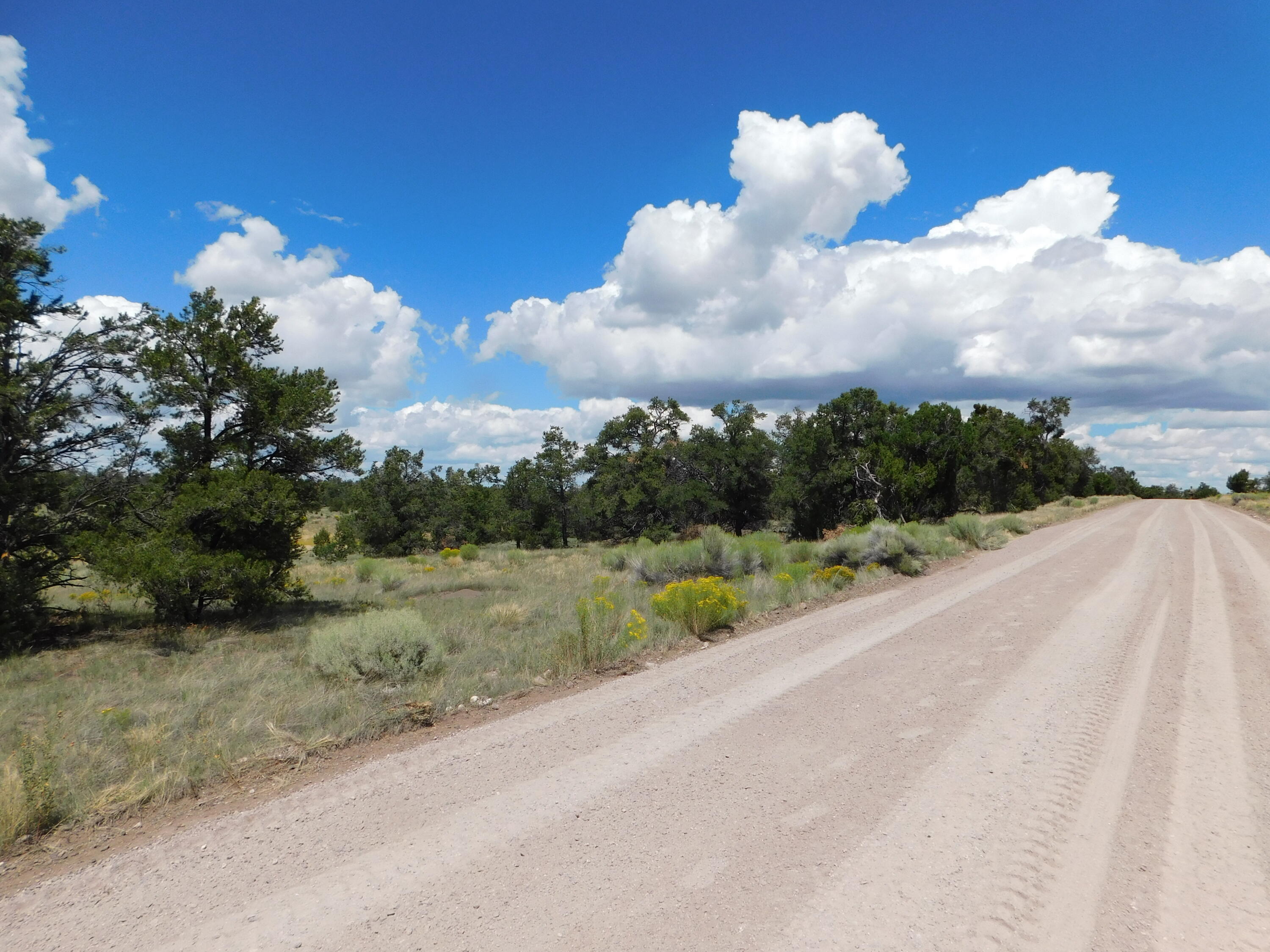 Homes for sale in Quemado, NM | 13 Canyon Creek Rd, Quemado, NM 87829 | MLS# 1069502