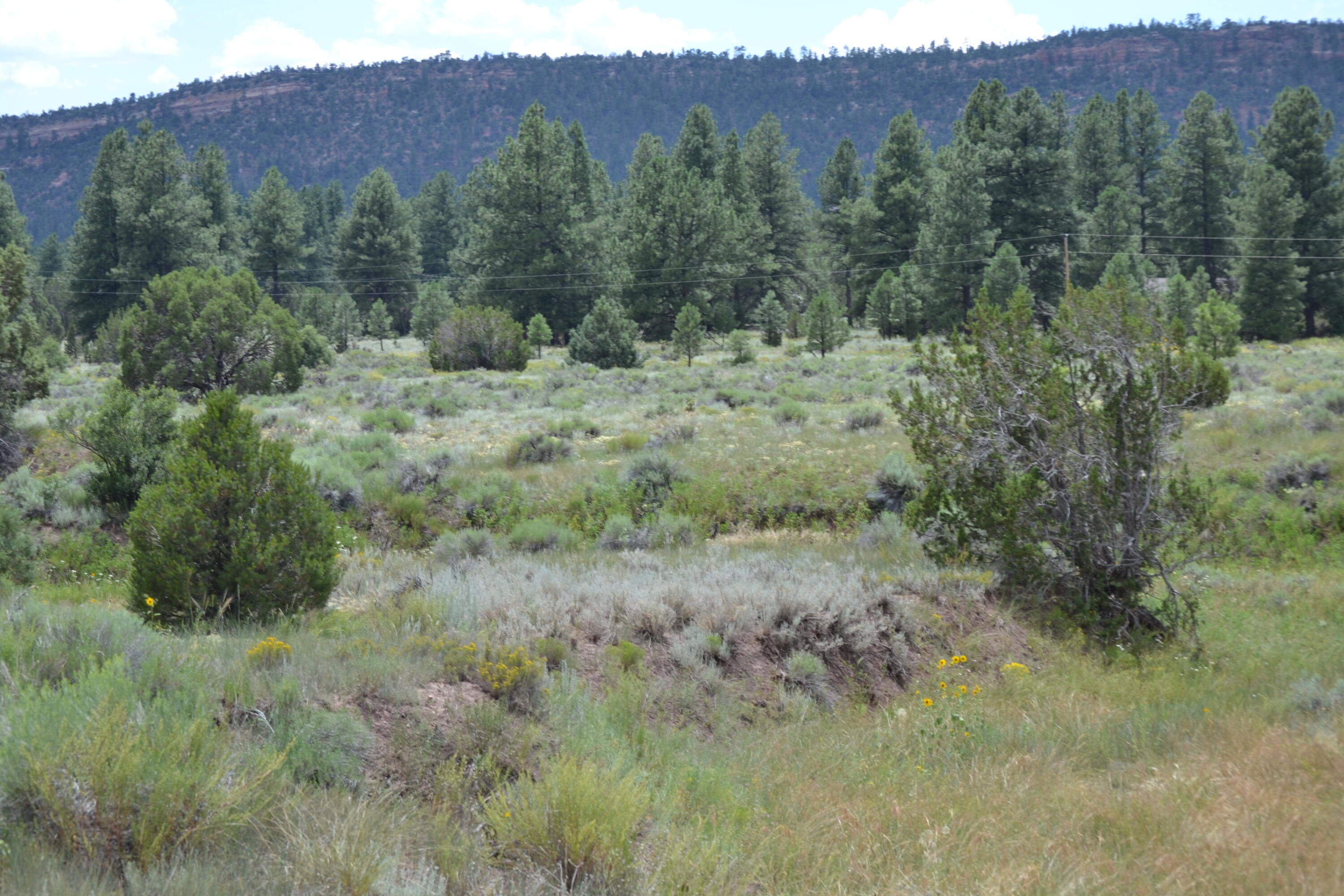 1st image of Timberlake Ranch, Ramah, NM 87321 | MLS# 1069479