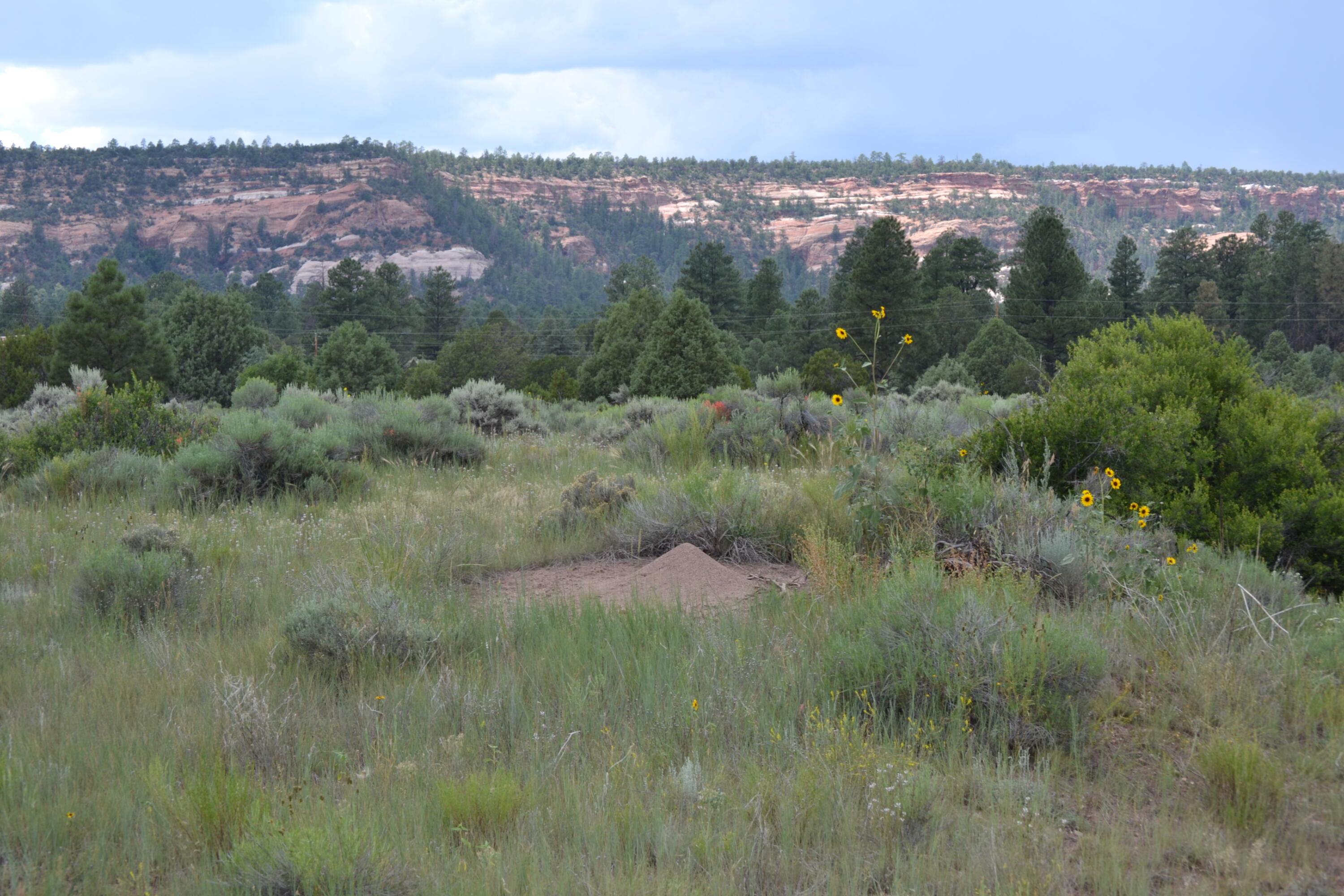 2nd image of Timberlake Ranch, Ramah, NM 87321 | MLS# 1069479