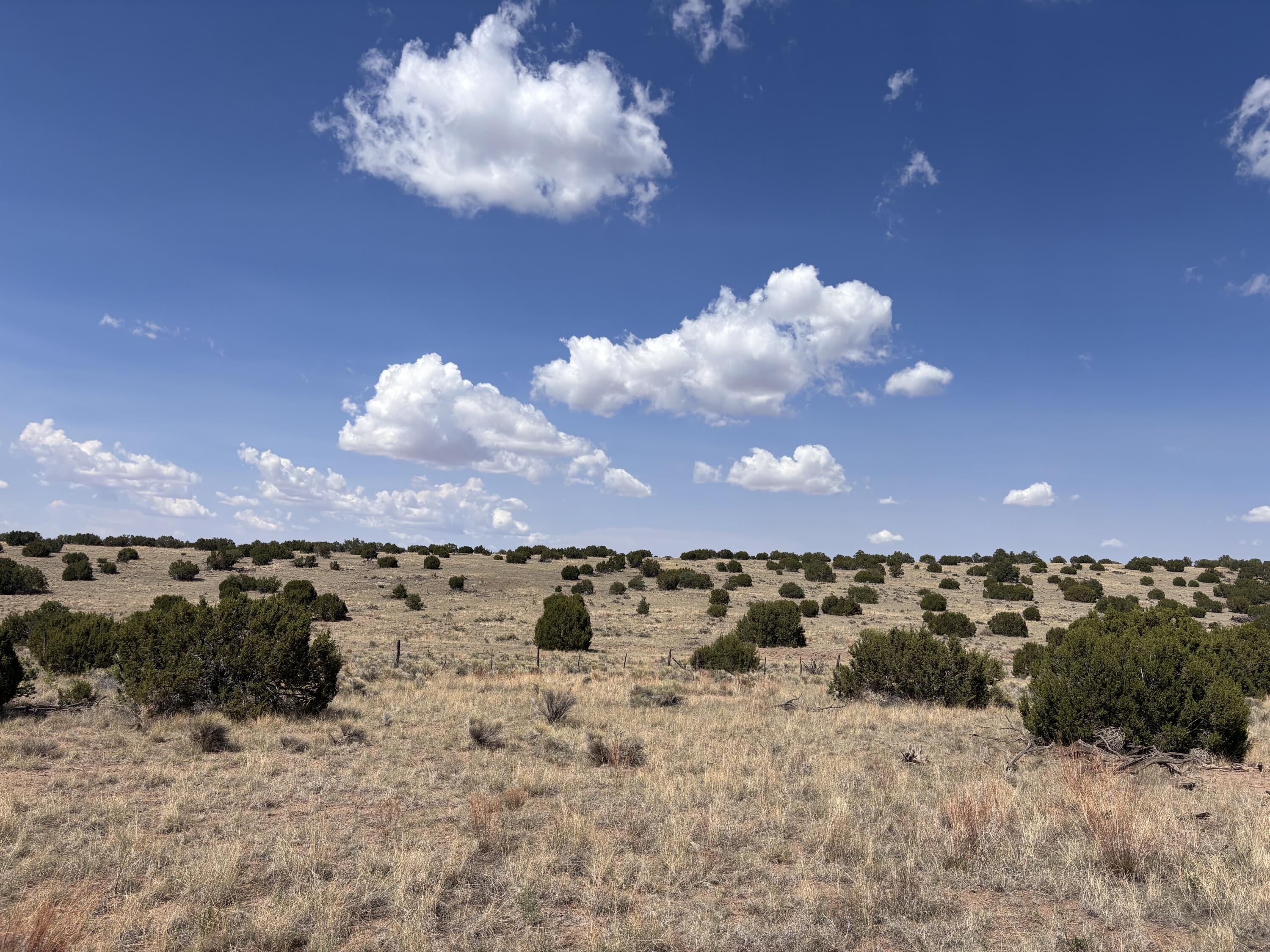 Homes for sale in Magdalena, NM | Lot 43 Pinon Springs Ranches, Magdalena, NM 87825 | MLS# 1069797