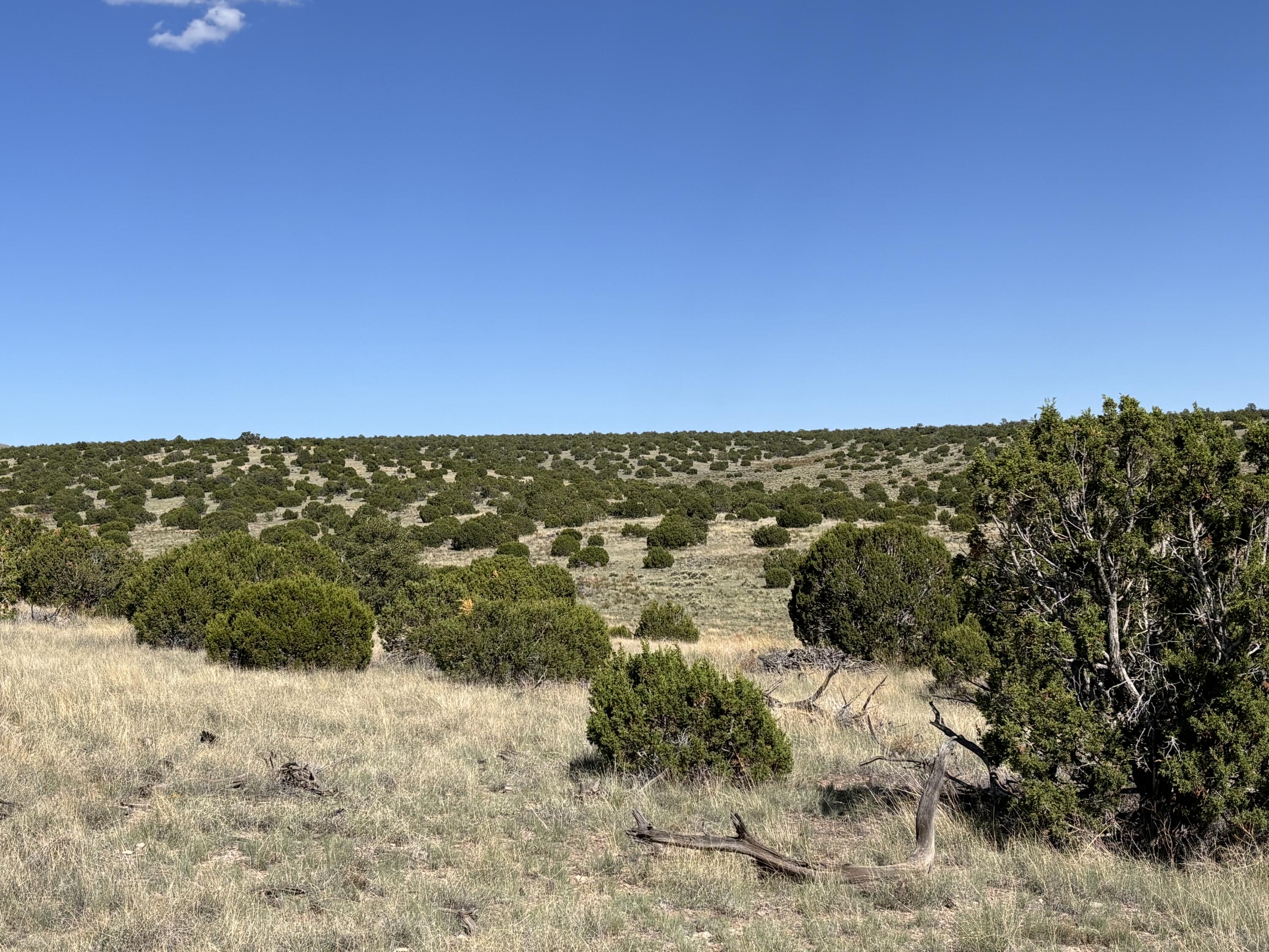 Homes for sale in Magdalena, NM | Lot 43 Pinon Springs Ranches, Magdalena, NM 87825 | MLS# 1069797