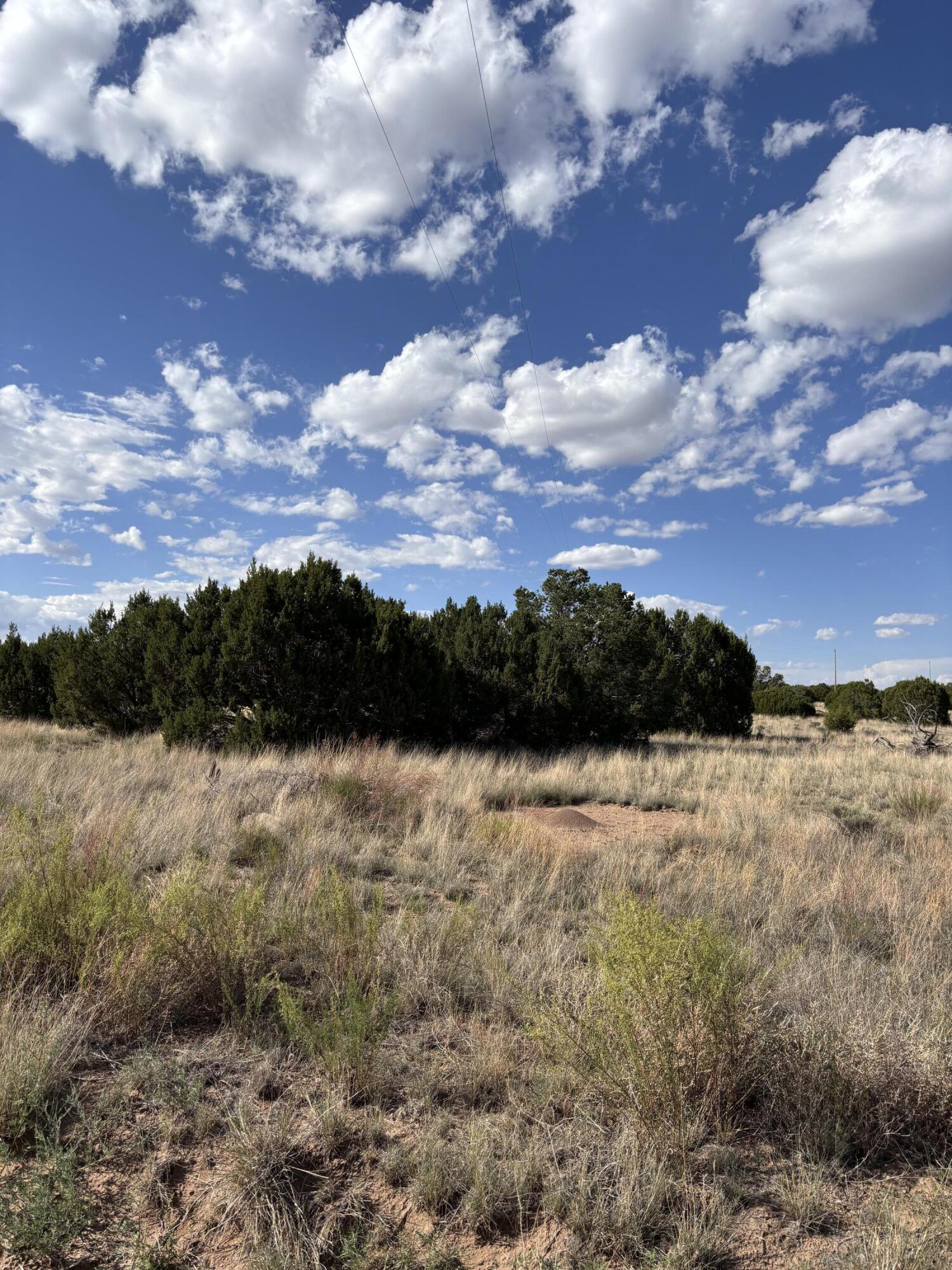 Homes for sale in Magdalena, NM | Lot 43 Pinon Springs Ranches, Magdalena, NM 87825 | MLS# 1069797