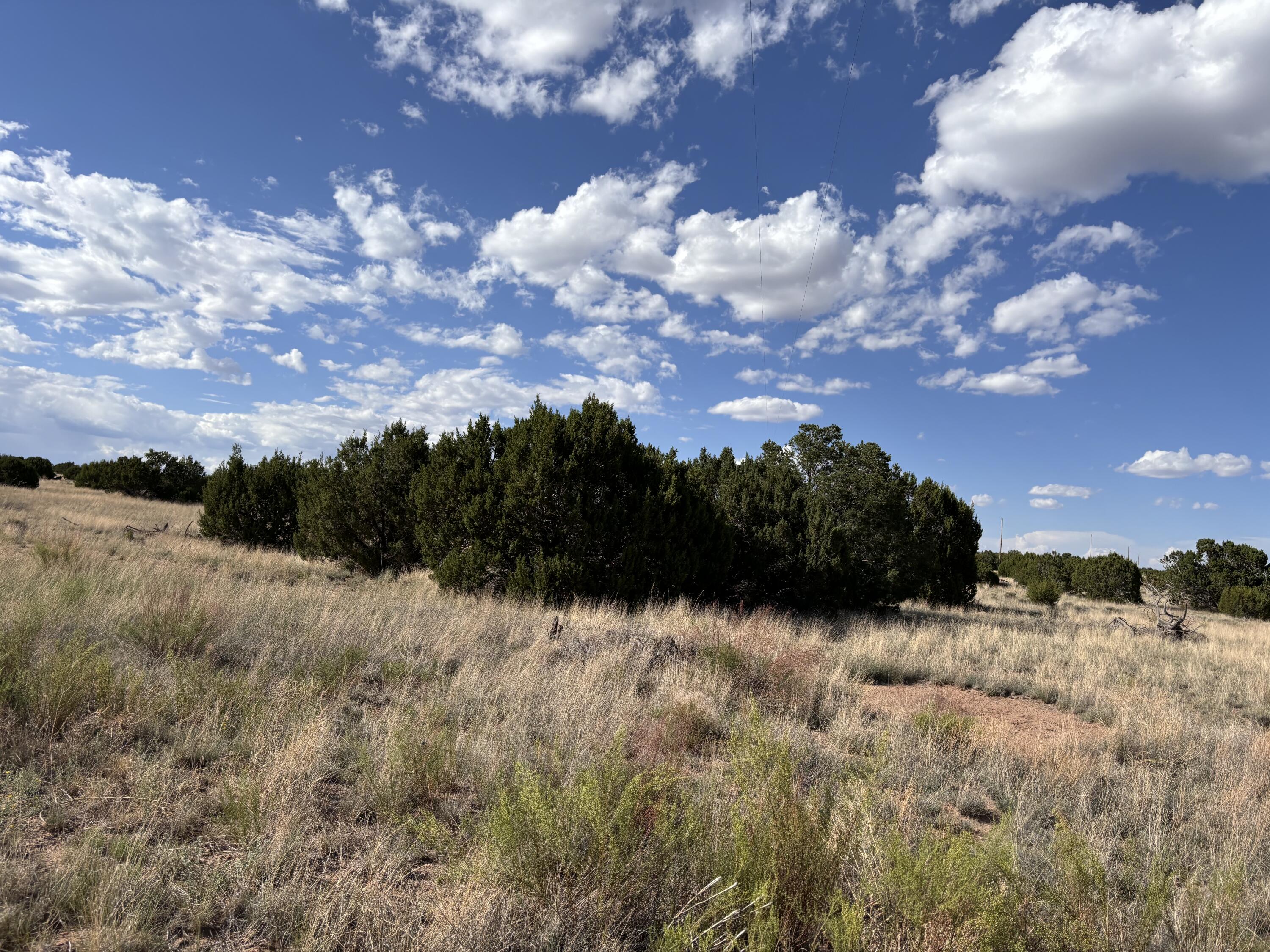 Homes for sale in Magdalena, NM | Lot 43 Pinon Springs Ranches, Magdalena, NM 87825 | MLS# 1069797