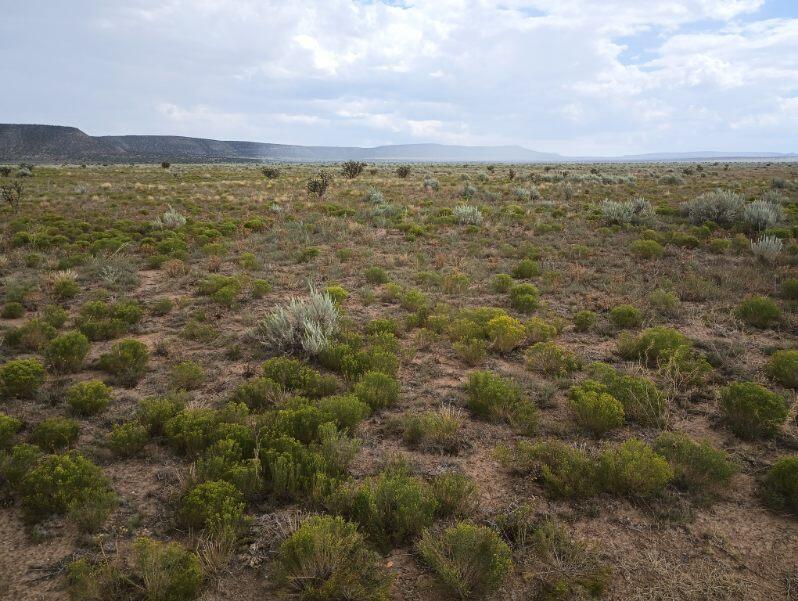 Homes for sale in Willard, NM | County Rd B 038, Willard, NM 87063 | MLS# 1069933
