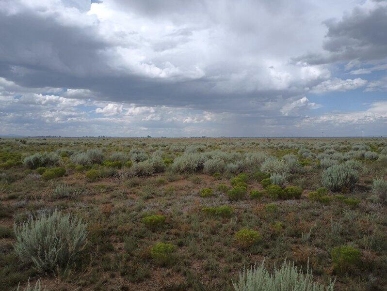 Homes for sale in Willard, NM | County Rd B 038, Willard, NM 87063 | MLS# 1069933
