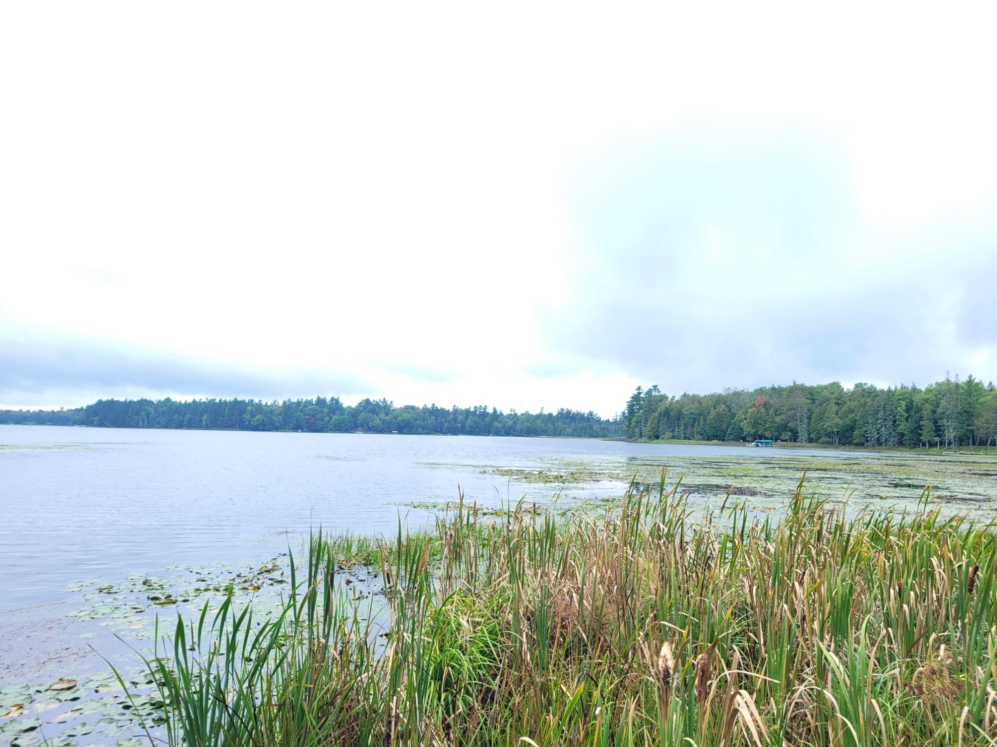 Muskellunge Lake (C) Property Lot #3 Timbering Haven Dr Photo 1