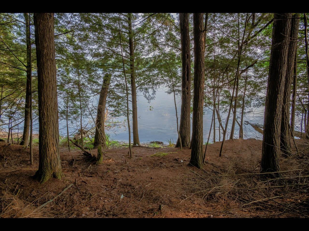 Two Sisters Lake Property ON Wendt Rd Photo 1