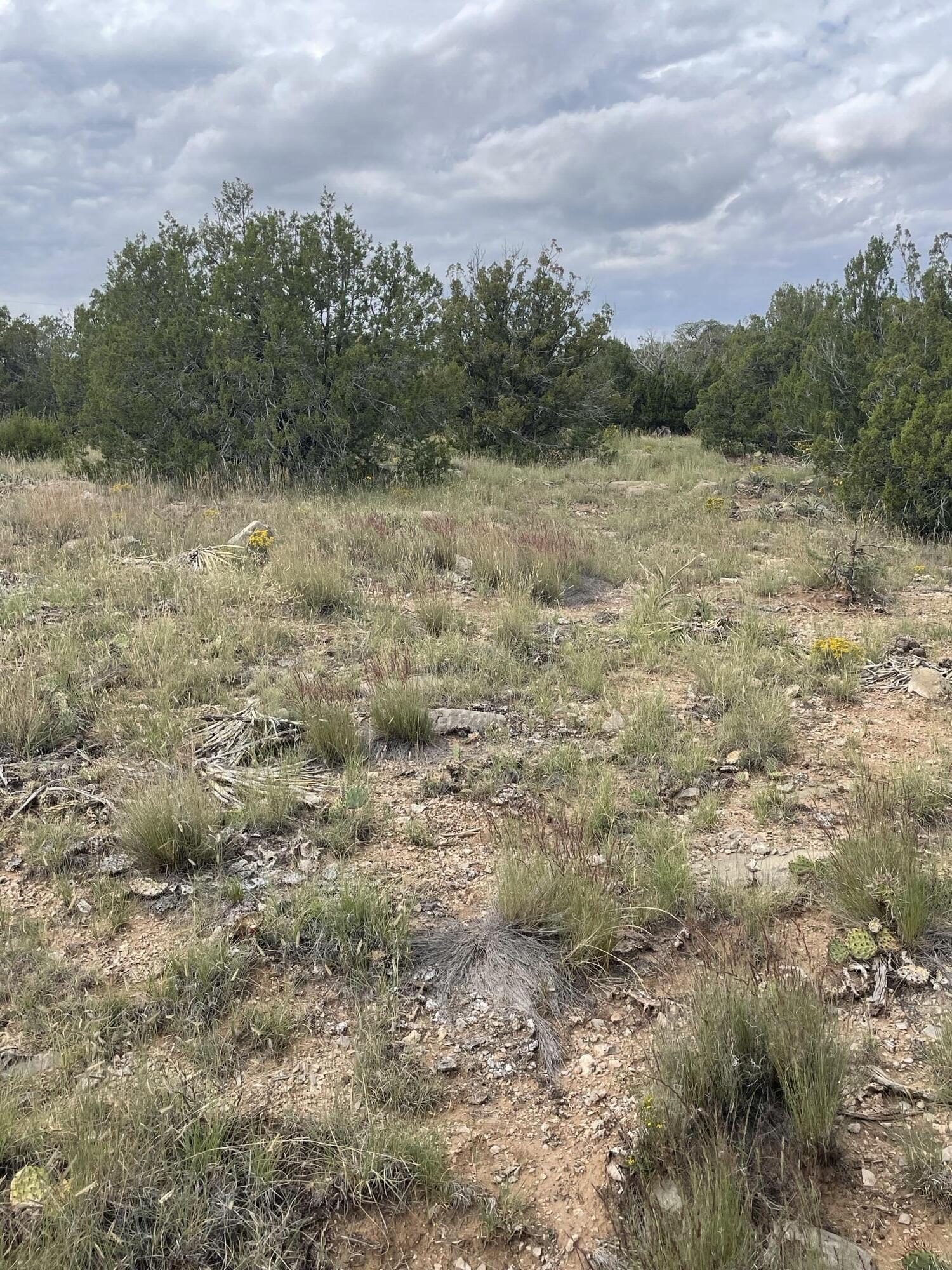 Homes for sale in Edgewood, NM | 45 Morper Ln, Edgewood, NM 87015 | MLS# 1070860