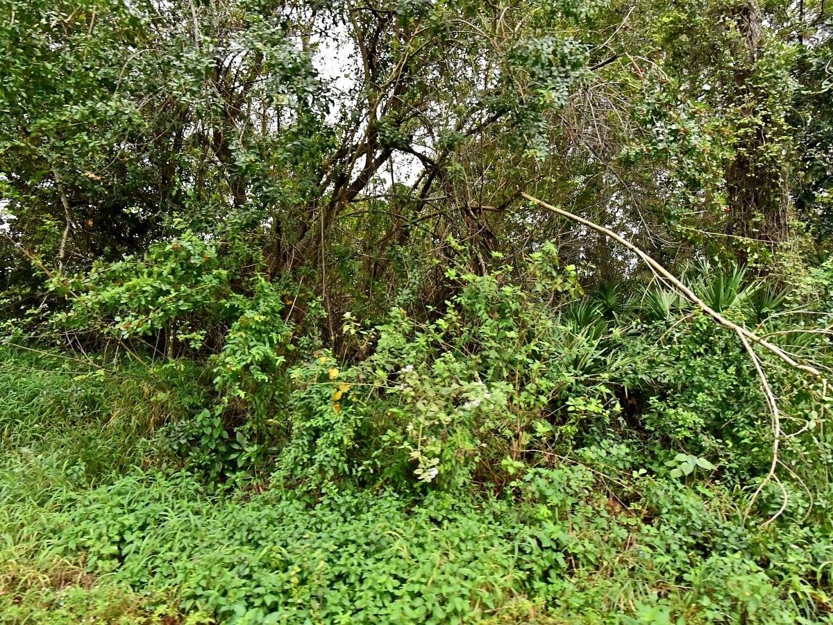 Homes for sale in Fort Pierce, FL | Avenue S Avenue S, Fort Pierce, FL 34947 | MLS# F10462472