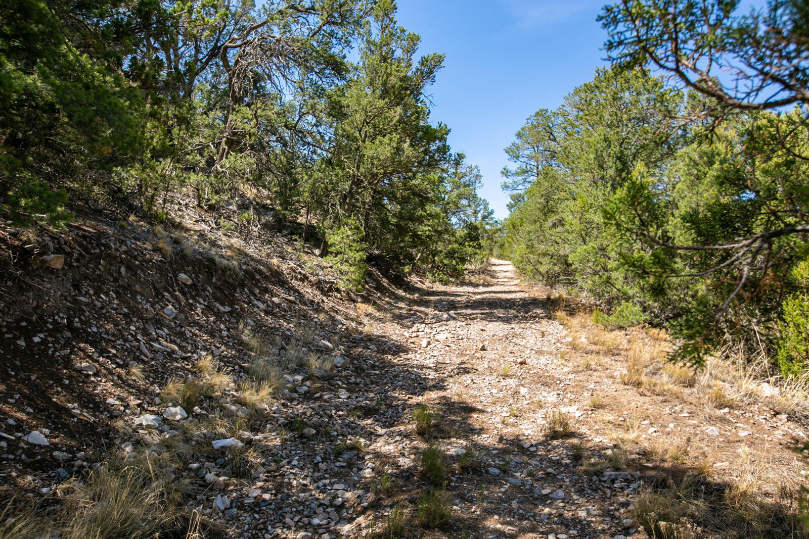 Homes for sale in Sandia Park, NM | 00 La Vista Grande, Sandia Park, NM 87047 | MLS# 1071390