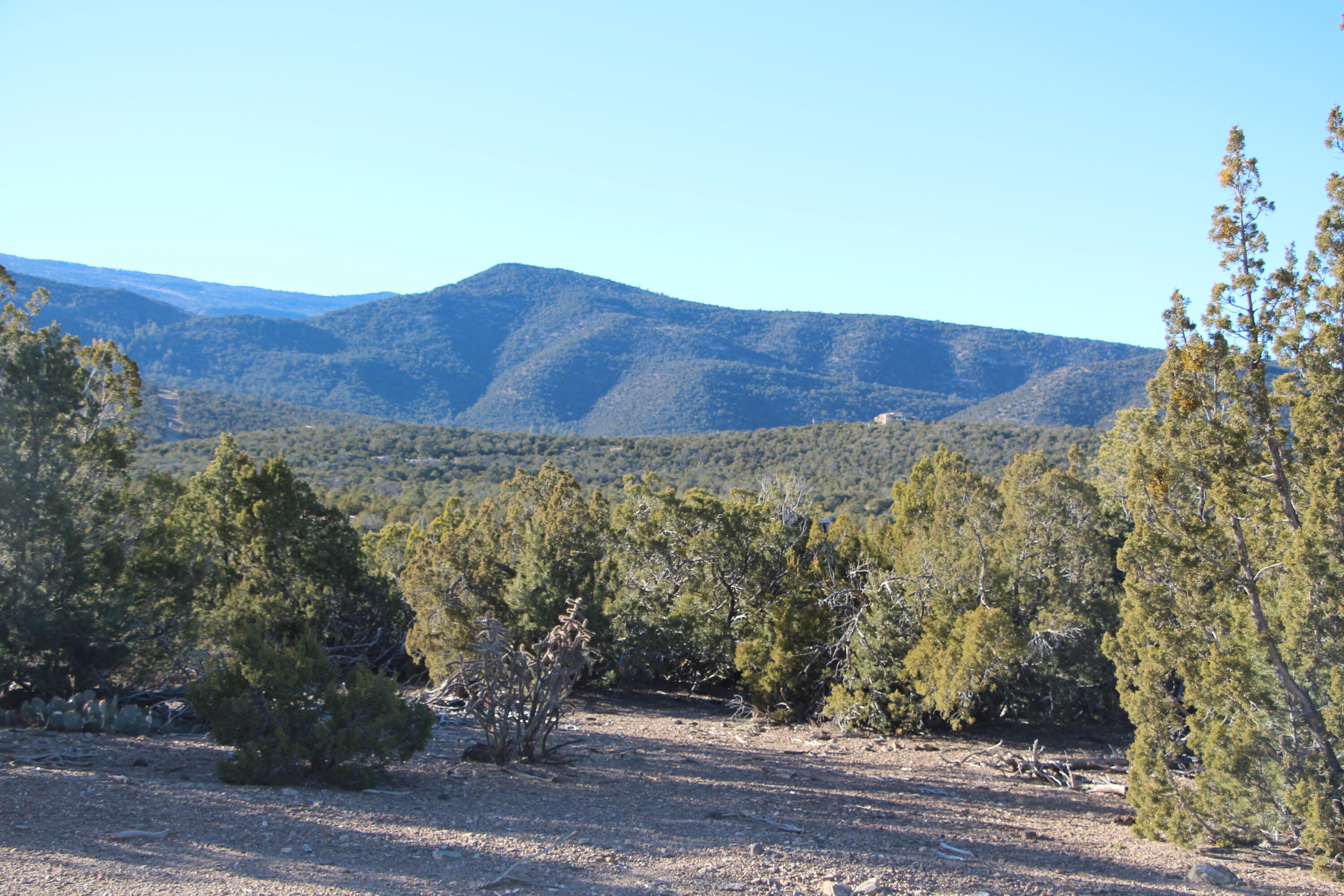 Homes for sale in Sandia Park, NM | 00 La Vista Grande, Sandia Park, NM 87047 | MLS# 1071390