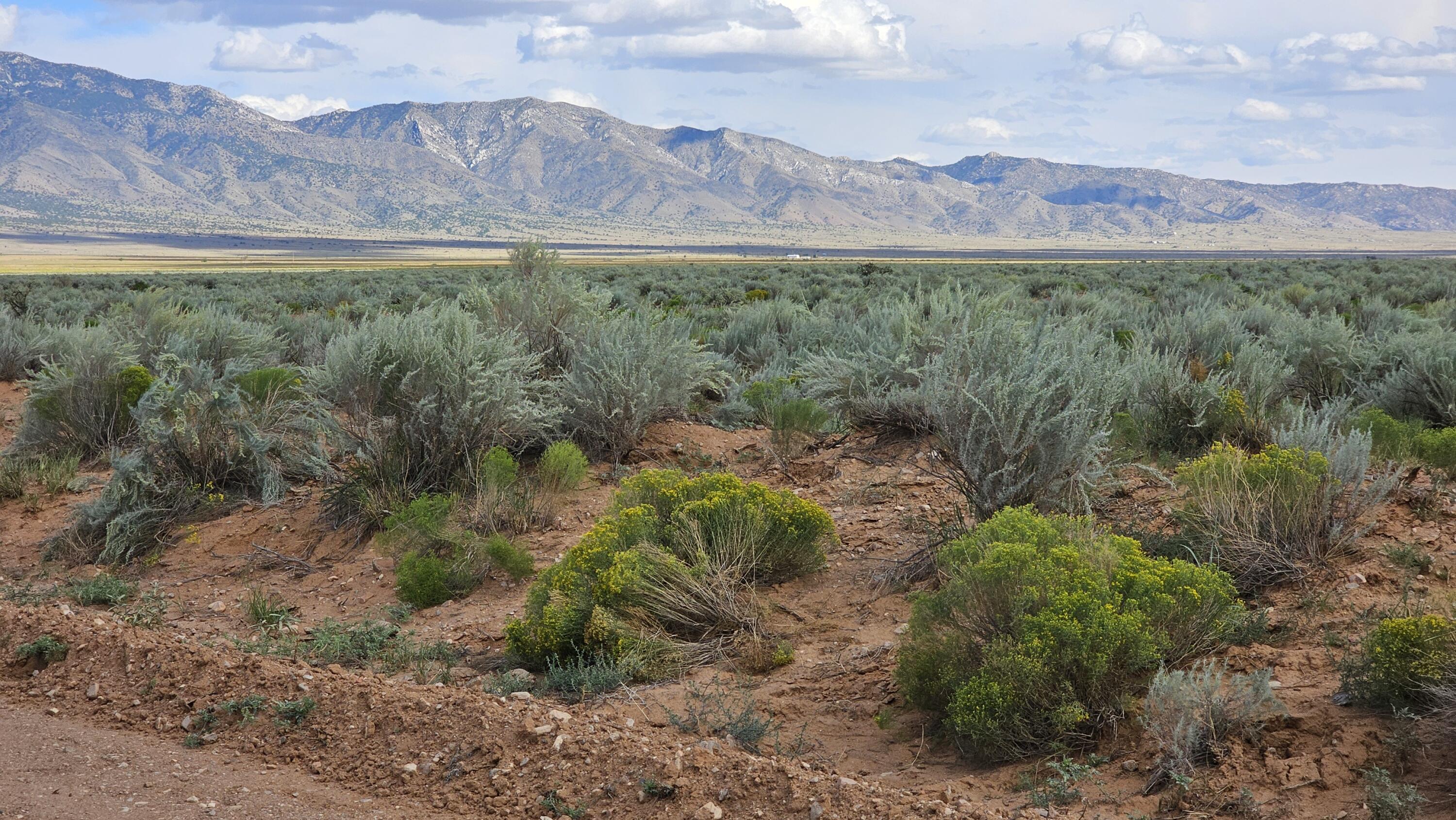 Homes for sale in Rio Communities, NM | Vl Lot: 31 Block: 50 #2, Rio Communities, NM 87002 | MLS# 1071452