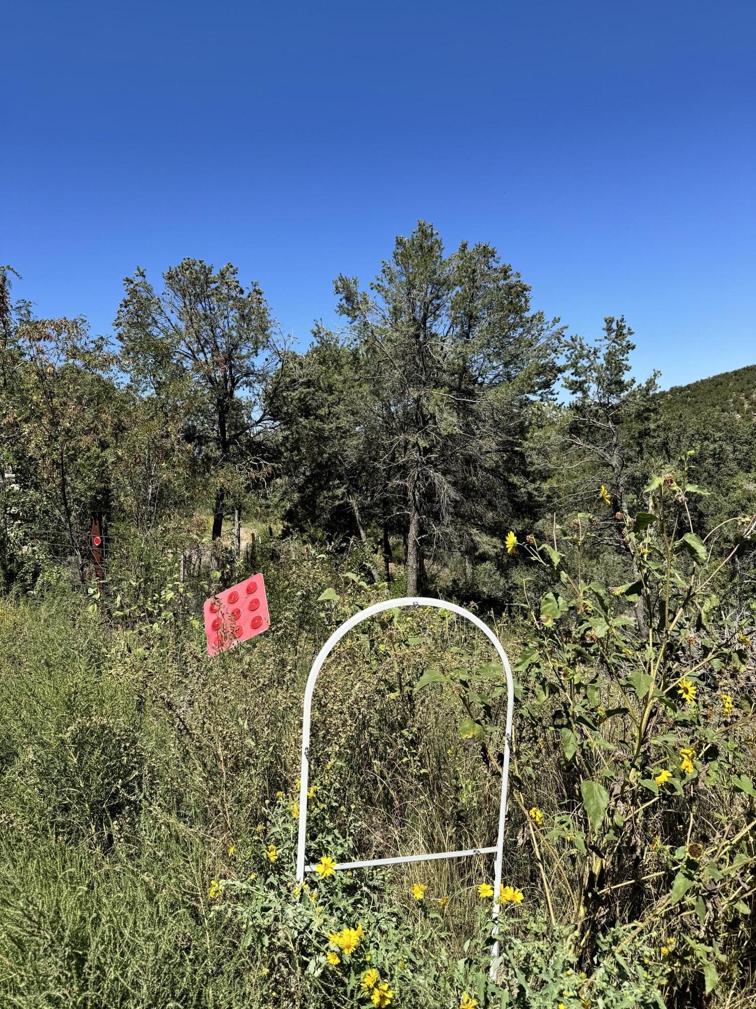 Homes for sale in Sandia Park, NM | 54 Gilbert Pl, Sandia Park, NM 87047 | MLS# 1071691