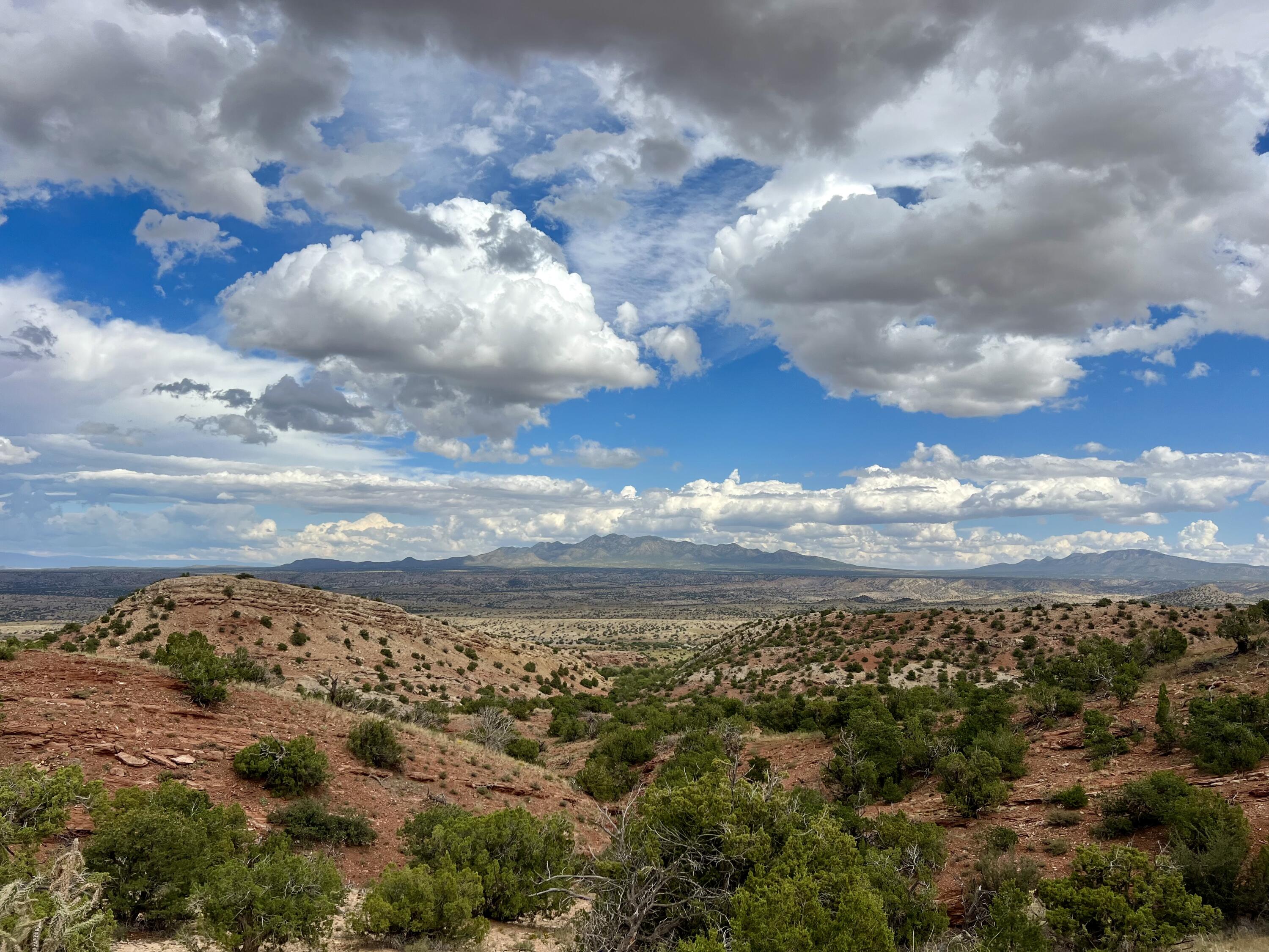 1st image of 310 Sunrise Ln, Placitas, NM 87043 | MLS# 1071755