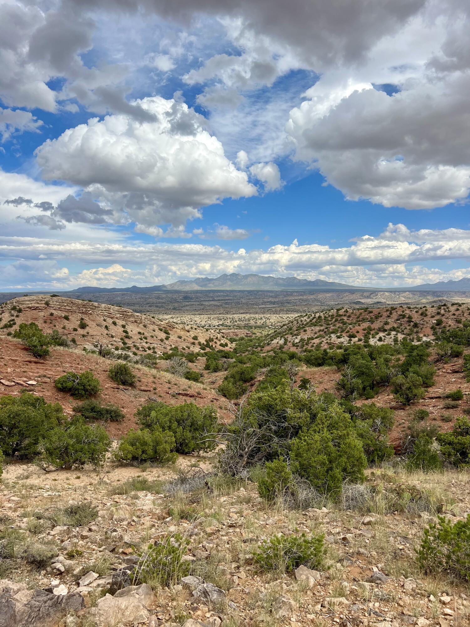 2nd image of 310 Sunrise Ln, Placitas, NM 87043 | MLS# 1071755