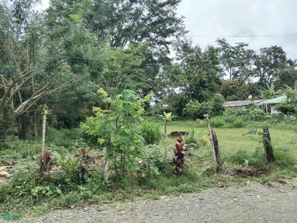 0 bed Land For Sale in , Puntarenas - 1
