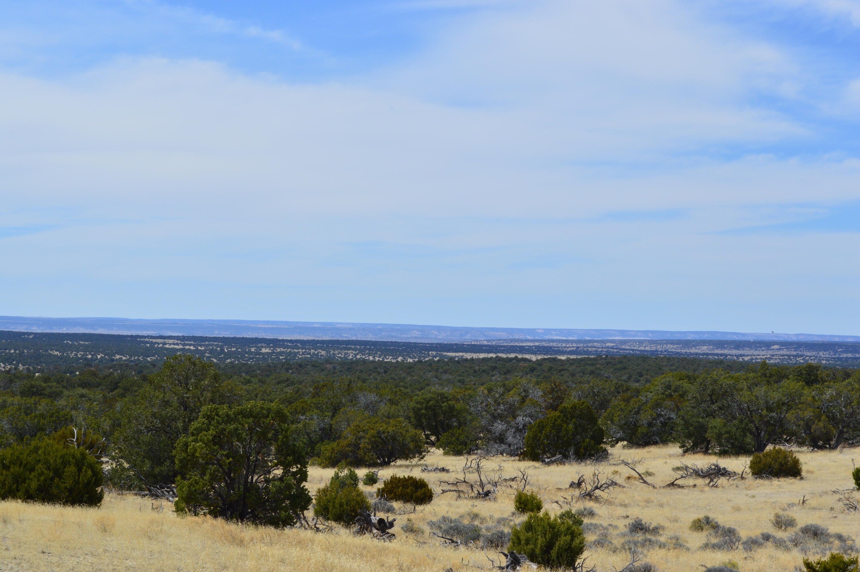 2nd image of 618 Nm 603, Pie Town, NM 87827 | MLS# 1072460