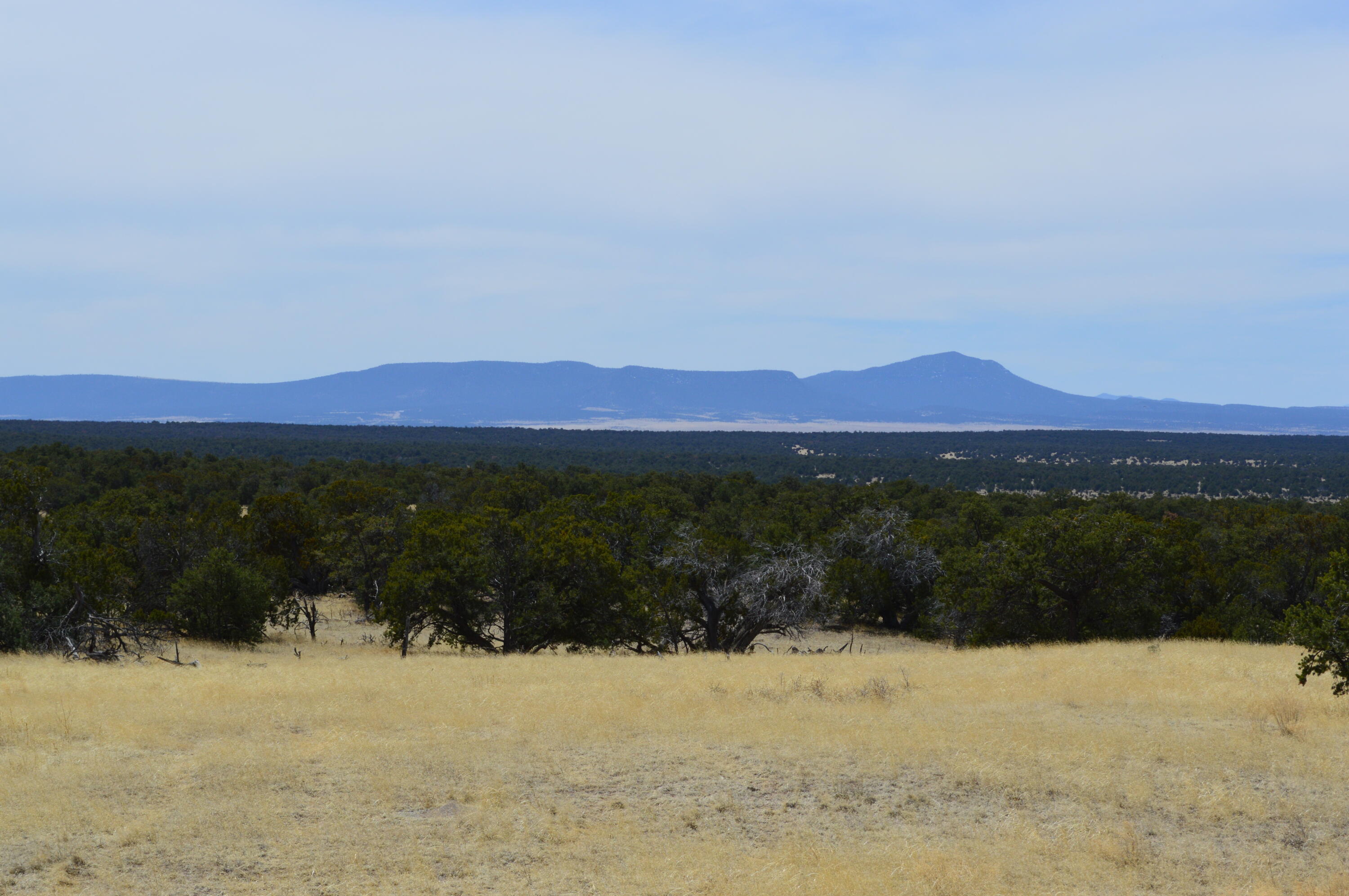 Homes for sale in Pie Town, NM | 618 Nm-603, Pie Town, NM 87827 | MLS# 1072460