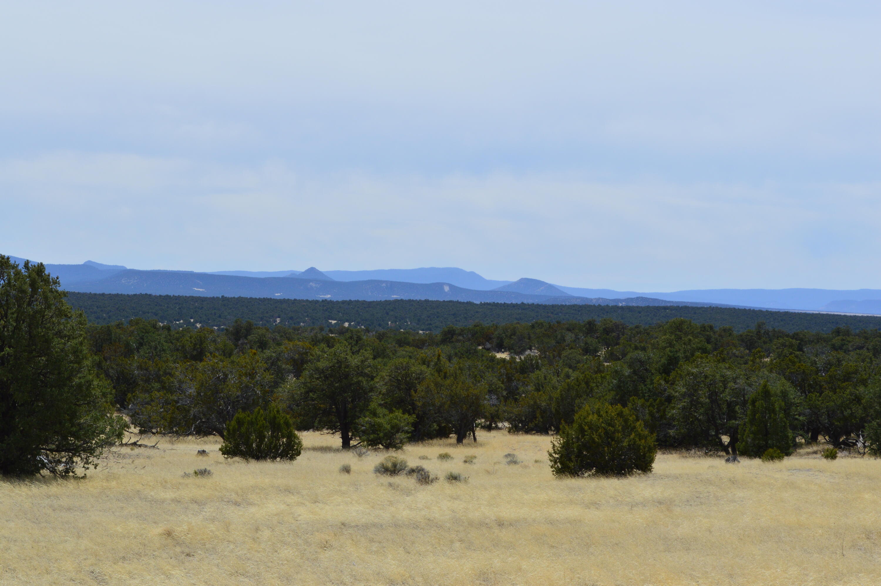 Photo 3 of Sale Pending at 618 Nm-603, Pie Town, NM 87827 | MLS# 1072460 | Listing updated on 2026-09-12
