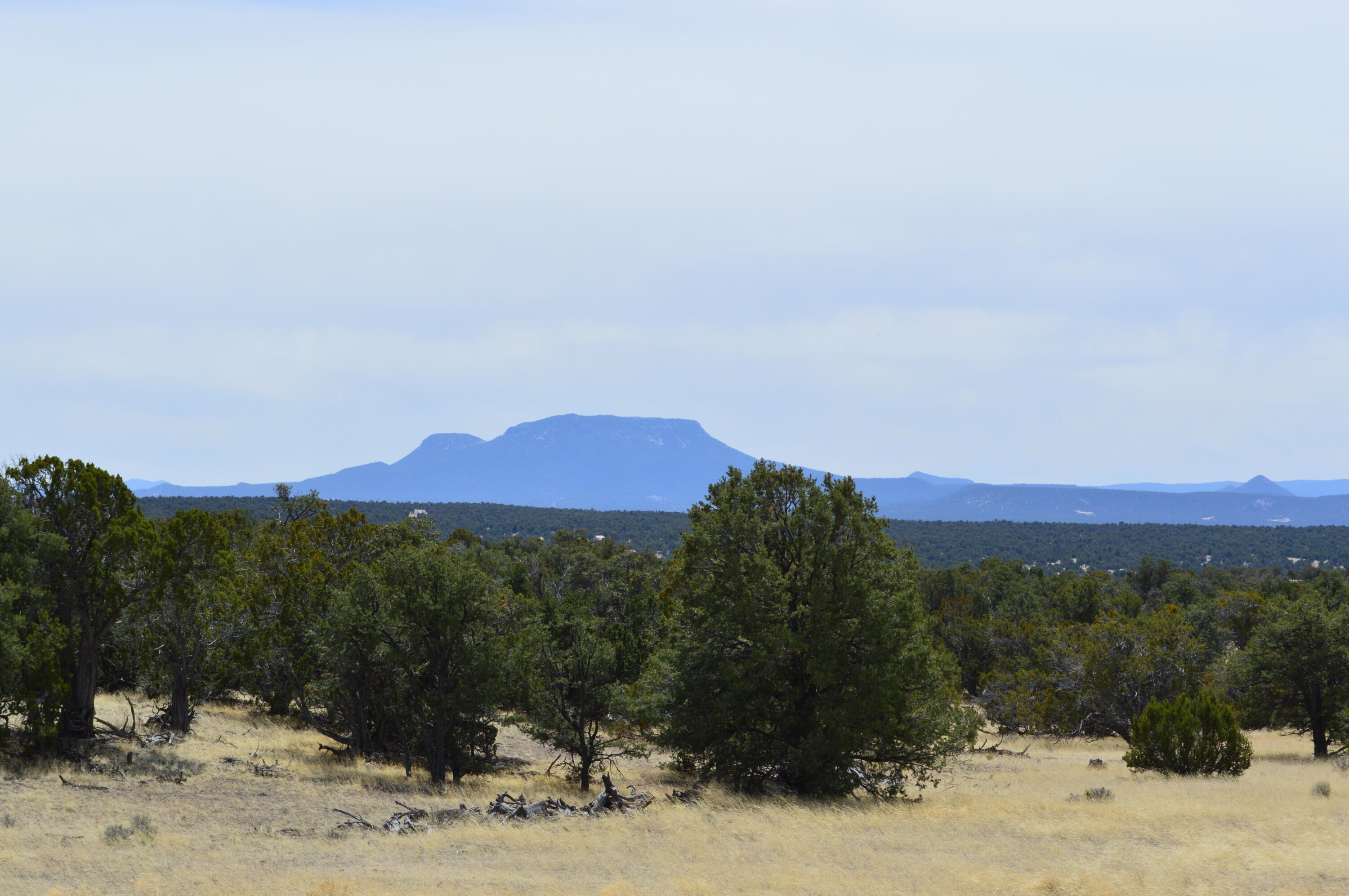 Homes for sale in Pie Town, NM | 618 Nm-603, Pie Town, NM 87827 | MLS# 1072460