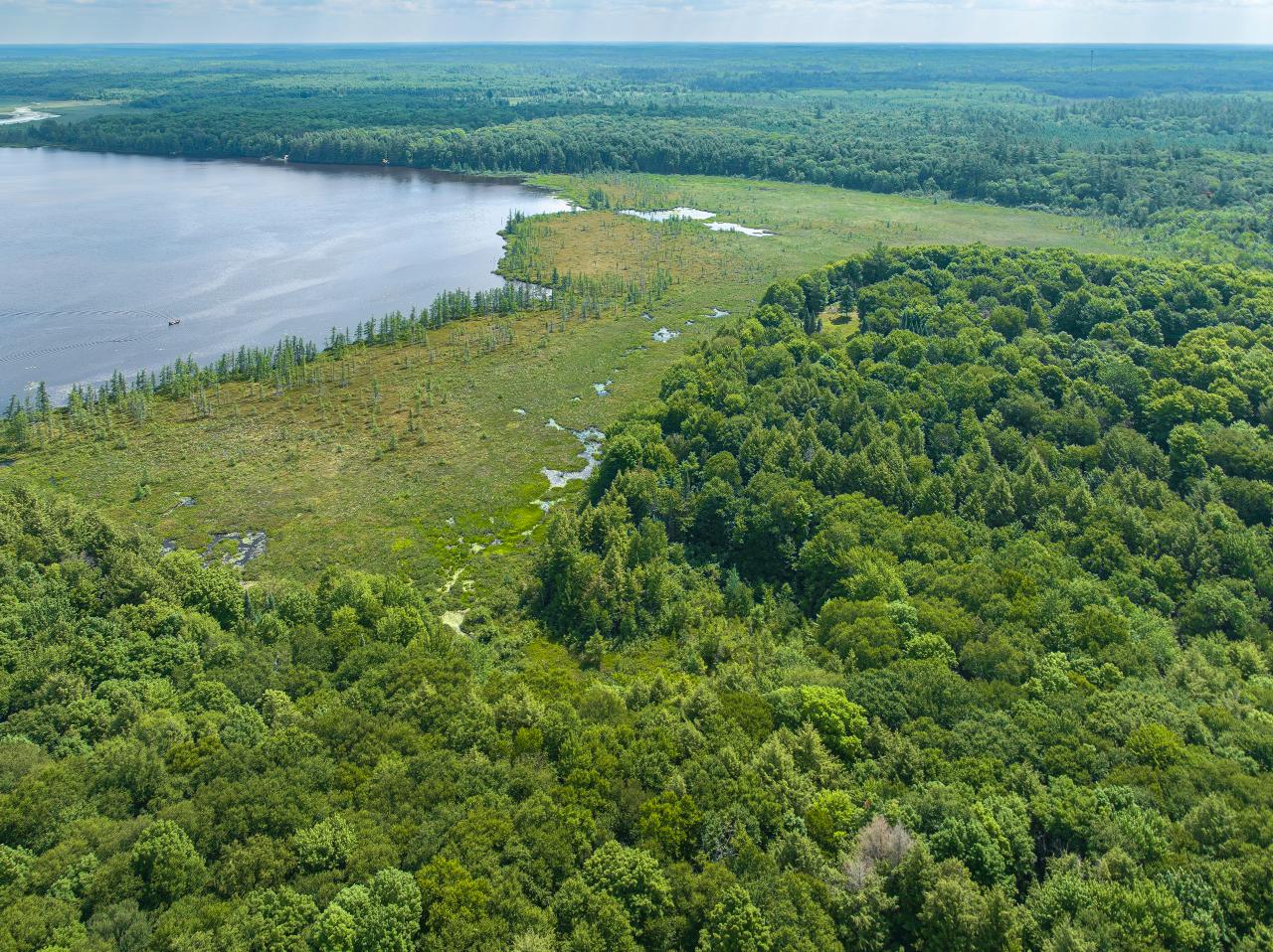 Undocumented Lake Property 1682 Turner Lake Rd E Photo 10