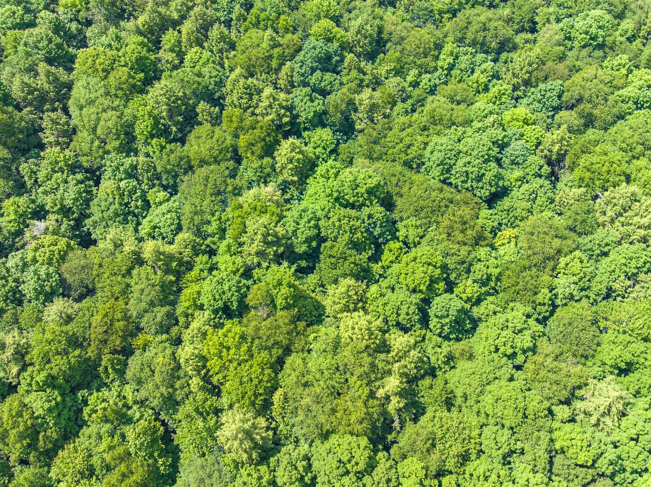 Amik Lake Property 1682 Turner Lake Rd E Photo 12